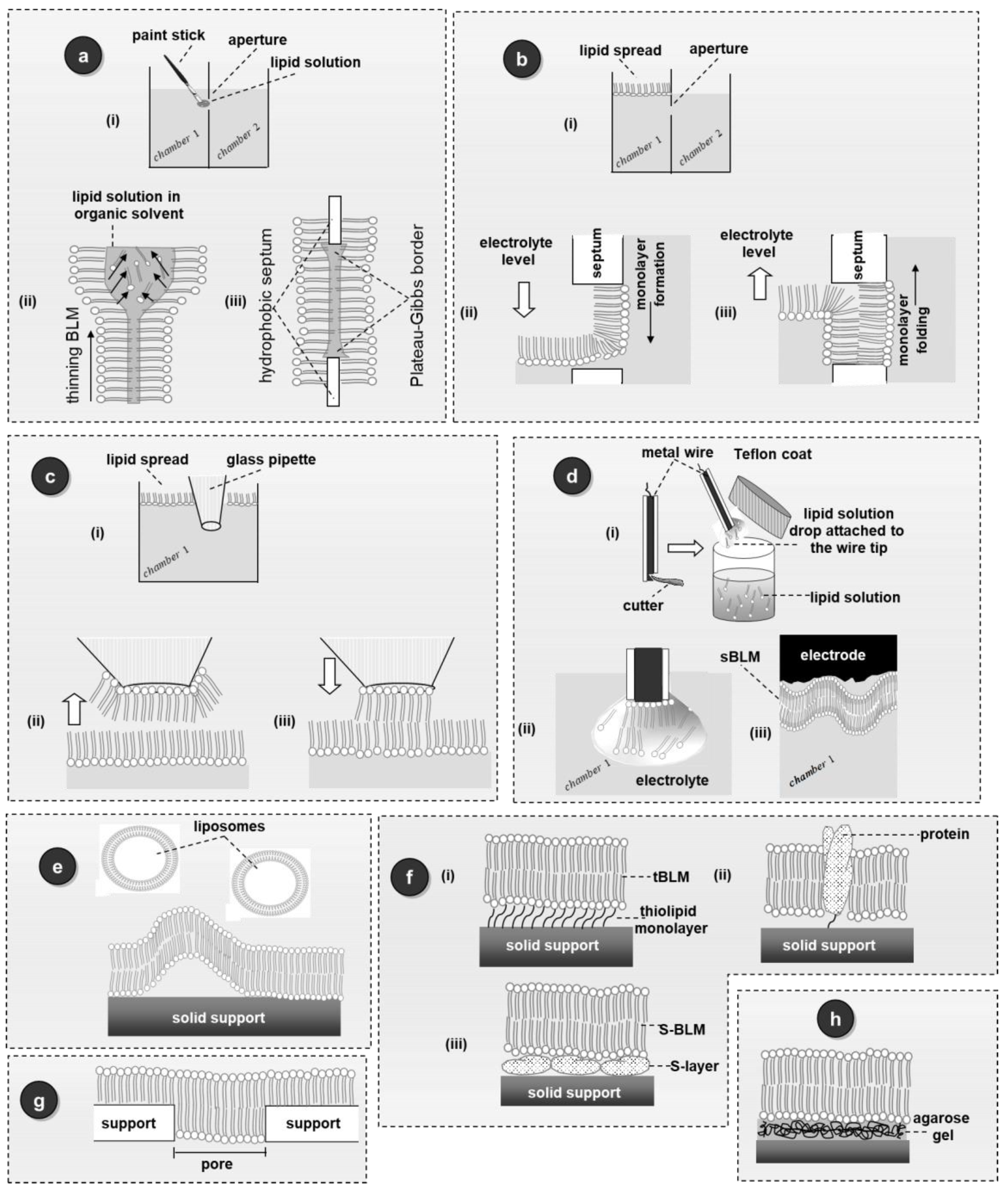 Applsci 09 01745 g005 Applsci 09 01745 g005