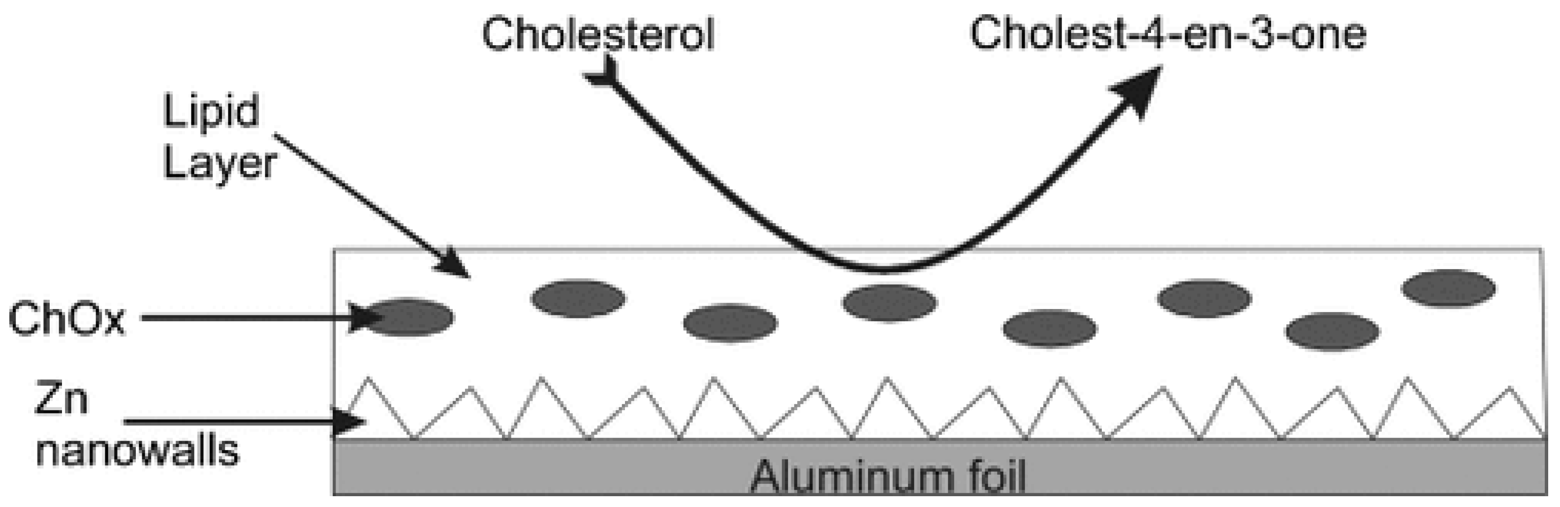 Applsci 09 01745 g007 Applsci 09 01745 g007
