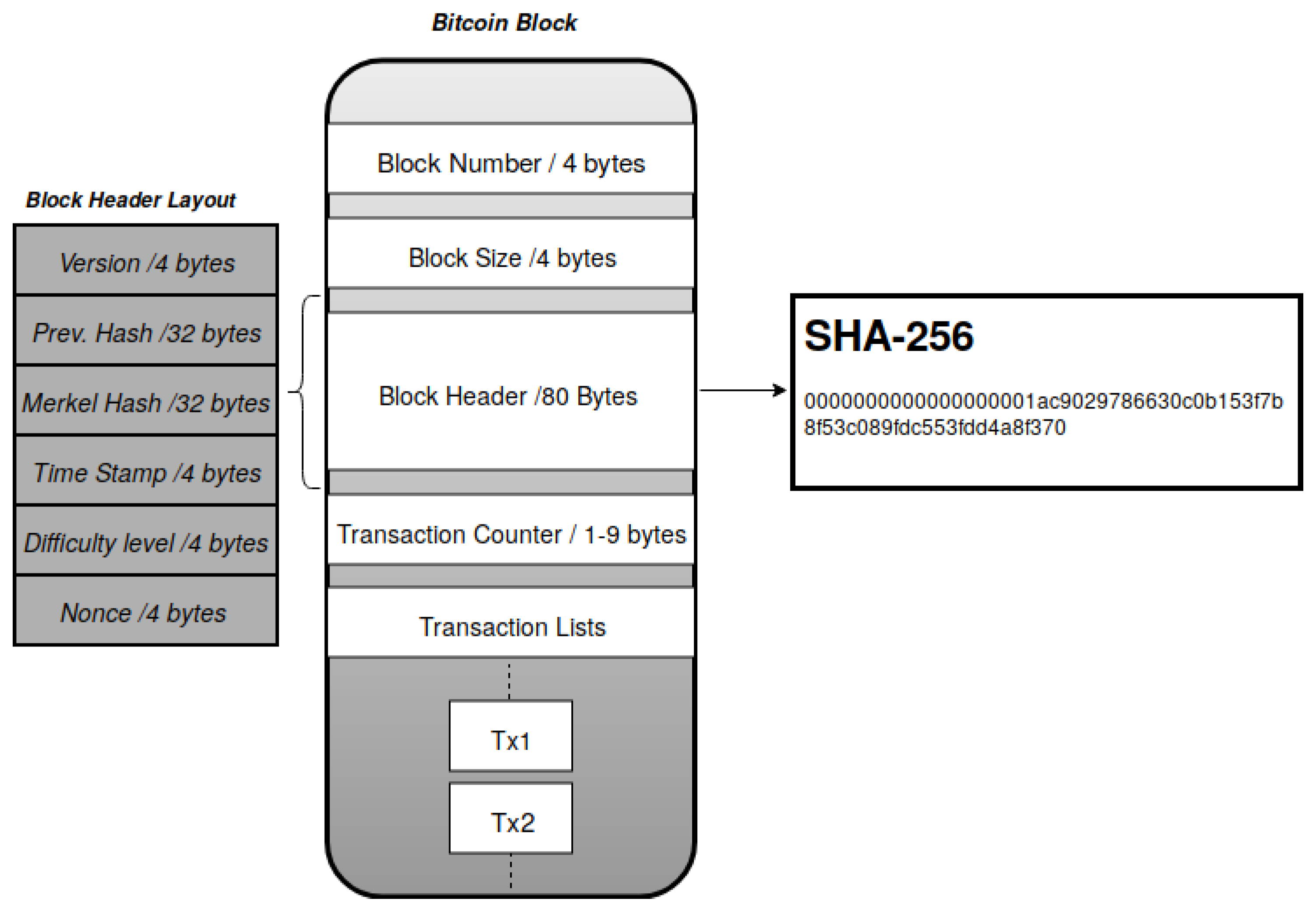 Tiny Bitcoin miner defies massive odds to solve a valid block