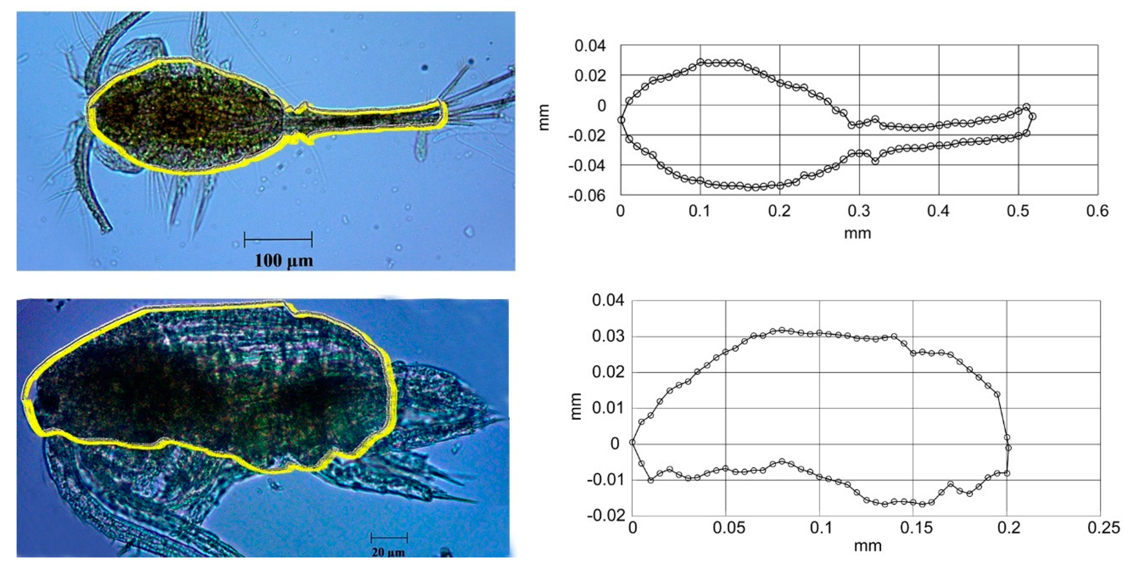 Applsci 09 01851 g012 Applsci 09 01851 g012