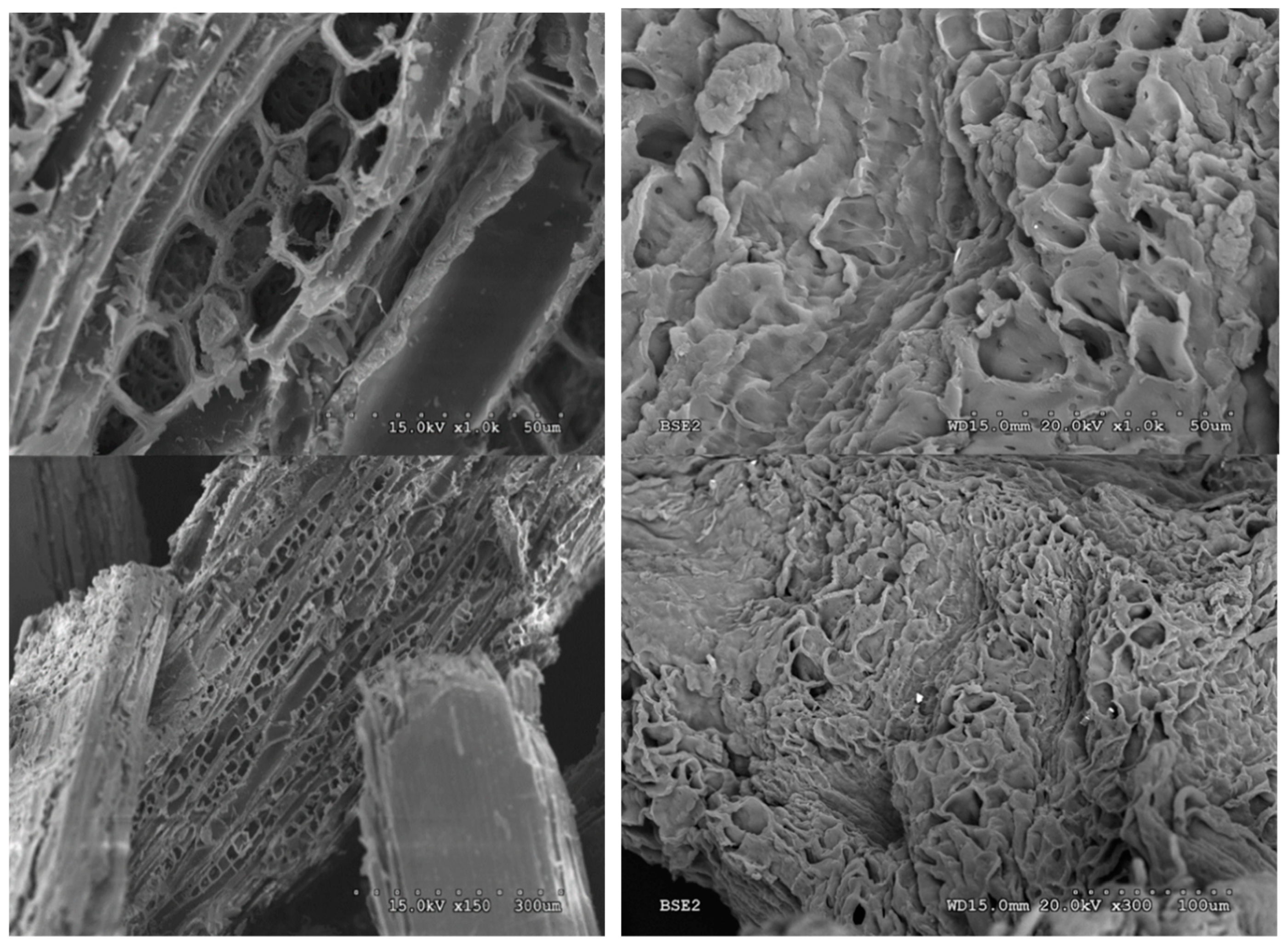 Applsci 09 01862 g011