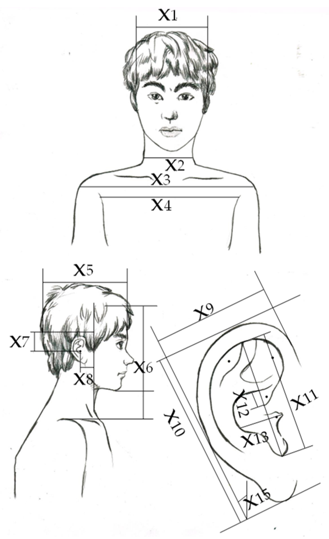 Applied Sciences Free Full Text Advancement Of Individualized Head