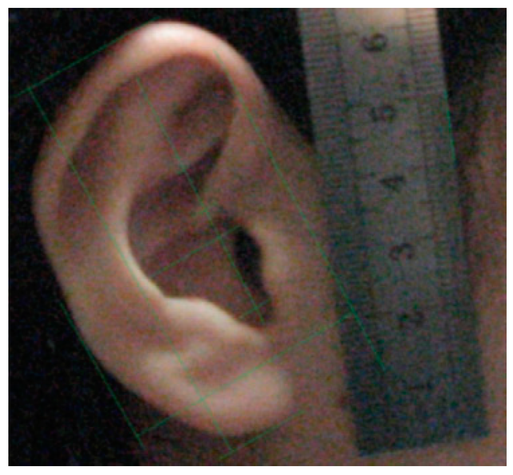 Applsci 09 01867 g008