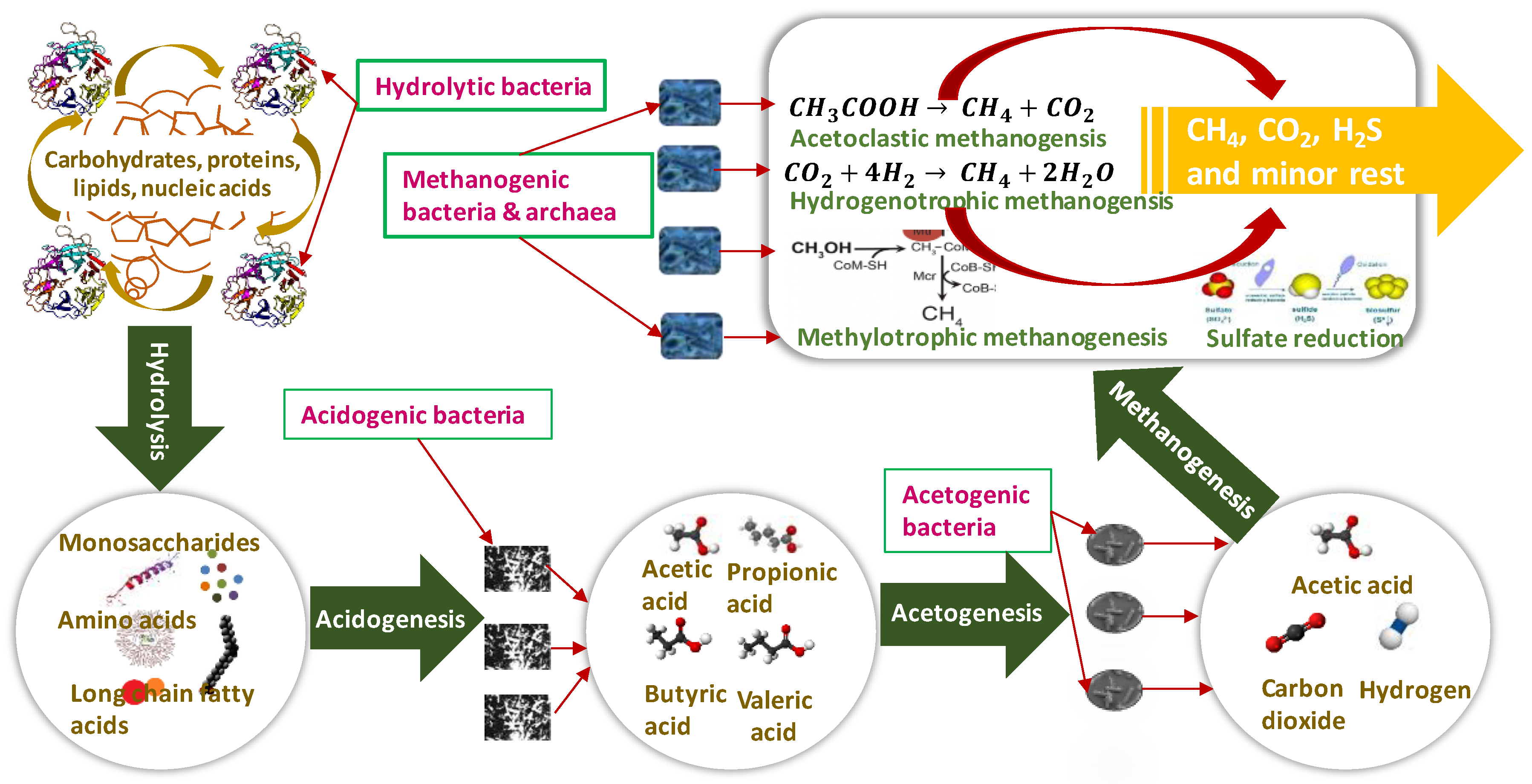 Applsci 09 01915 g002 Applsci 09 01915 g002