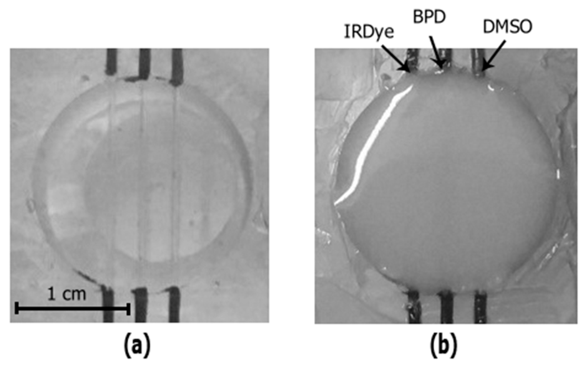 Applsci 09 01918 g004