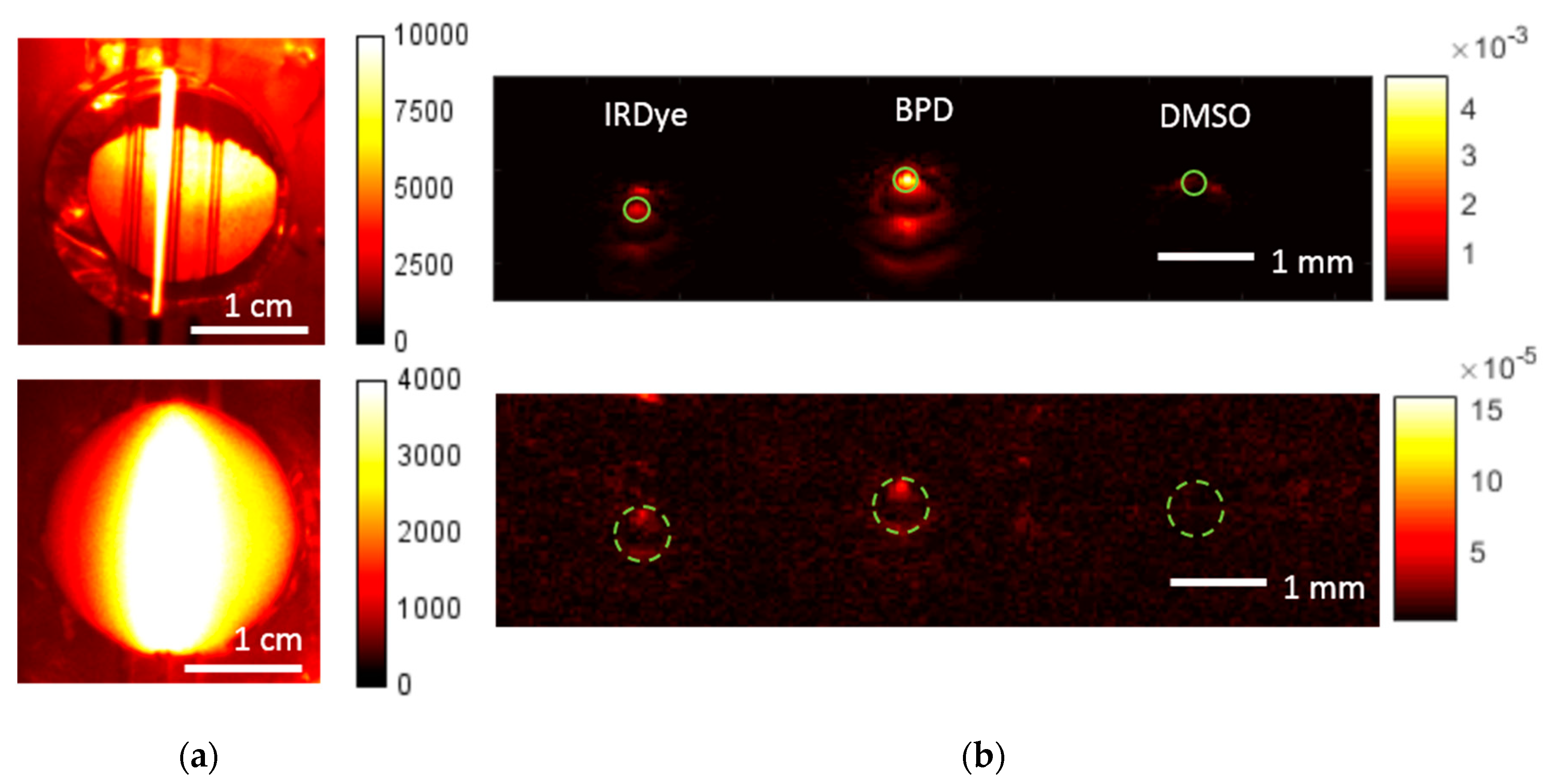Applsci 09 01918 g005