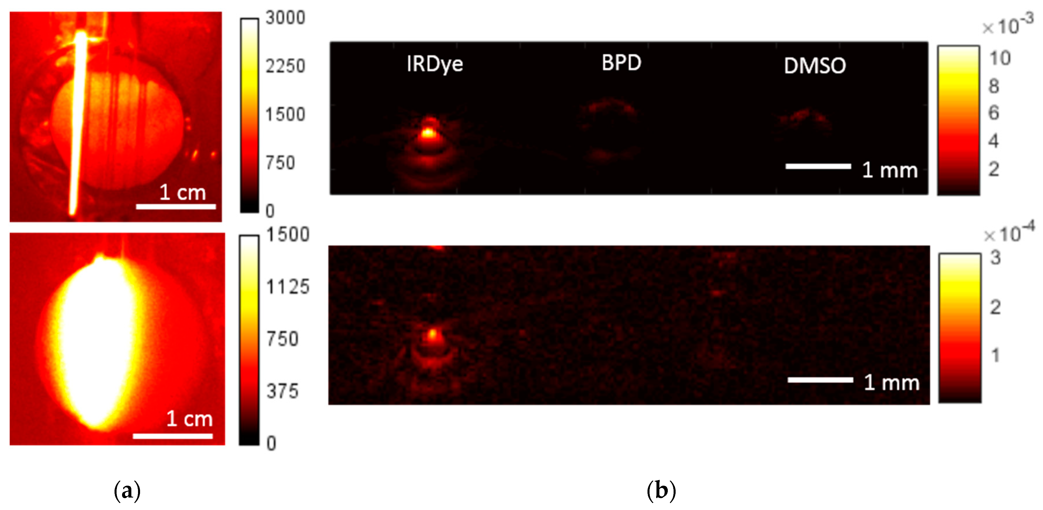 Applsci 09 01918 g006