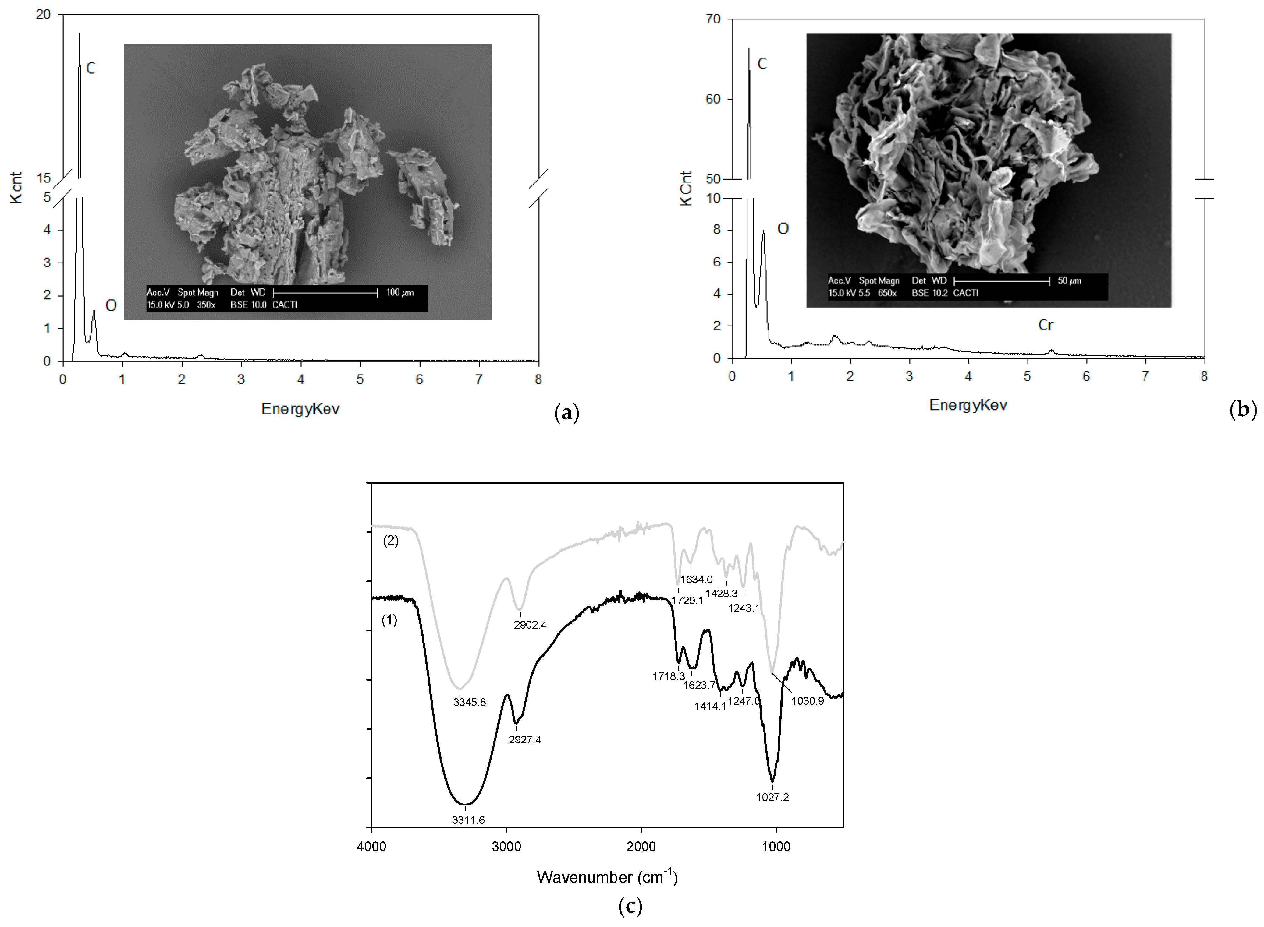 Applsci 09 01967 g002