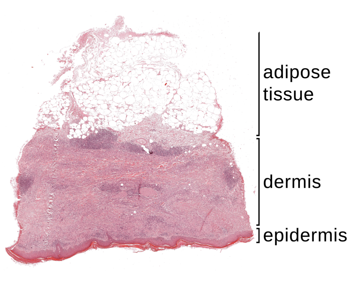 Applsci 09 02022 g001