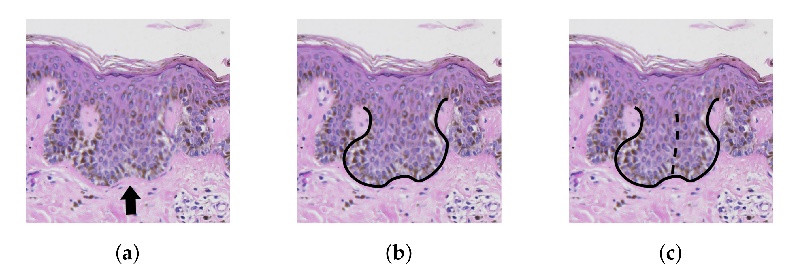 Applsci 09 02022 g022
