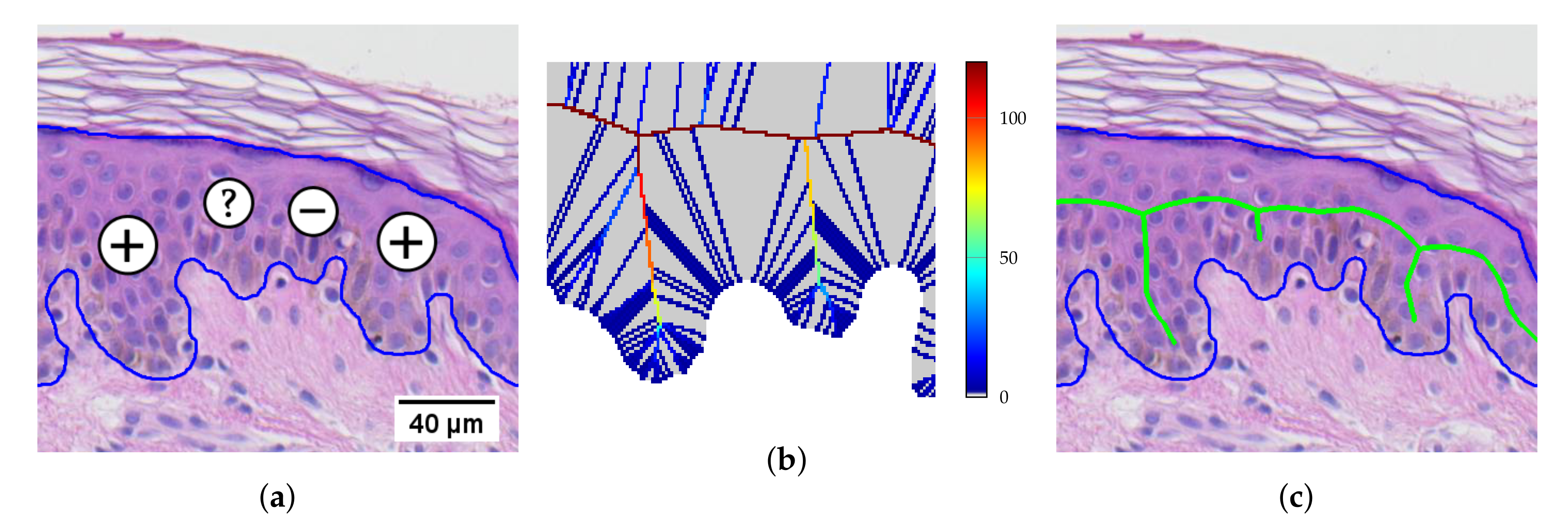 Applsci 09 02022 g024