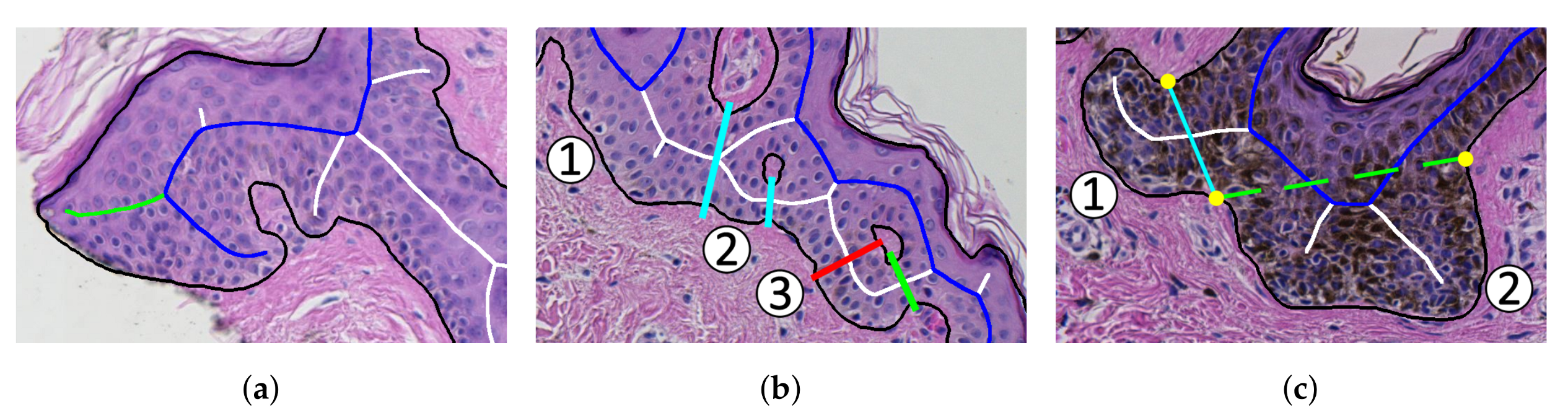 Applsci 09 02022 g030