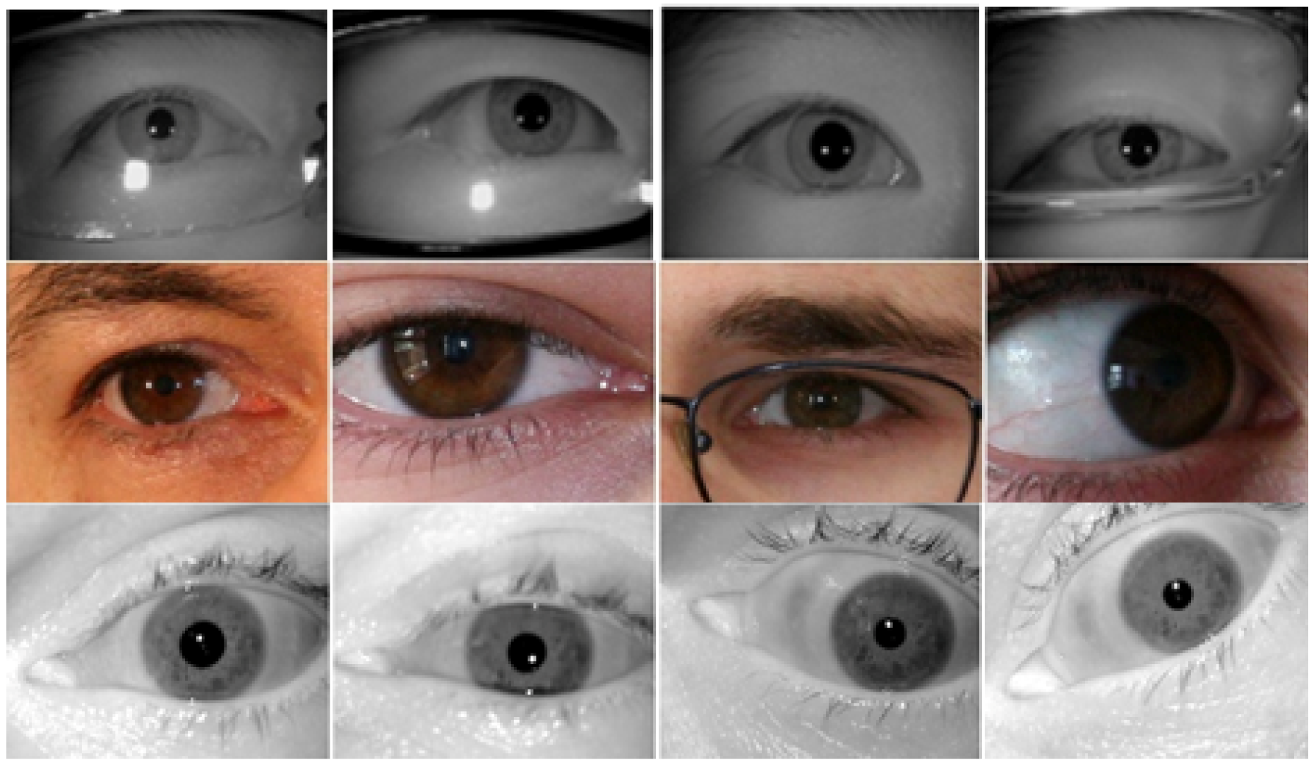 Applsci 09 02042 g008