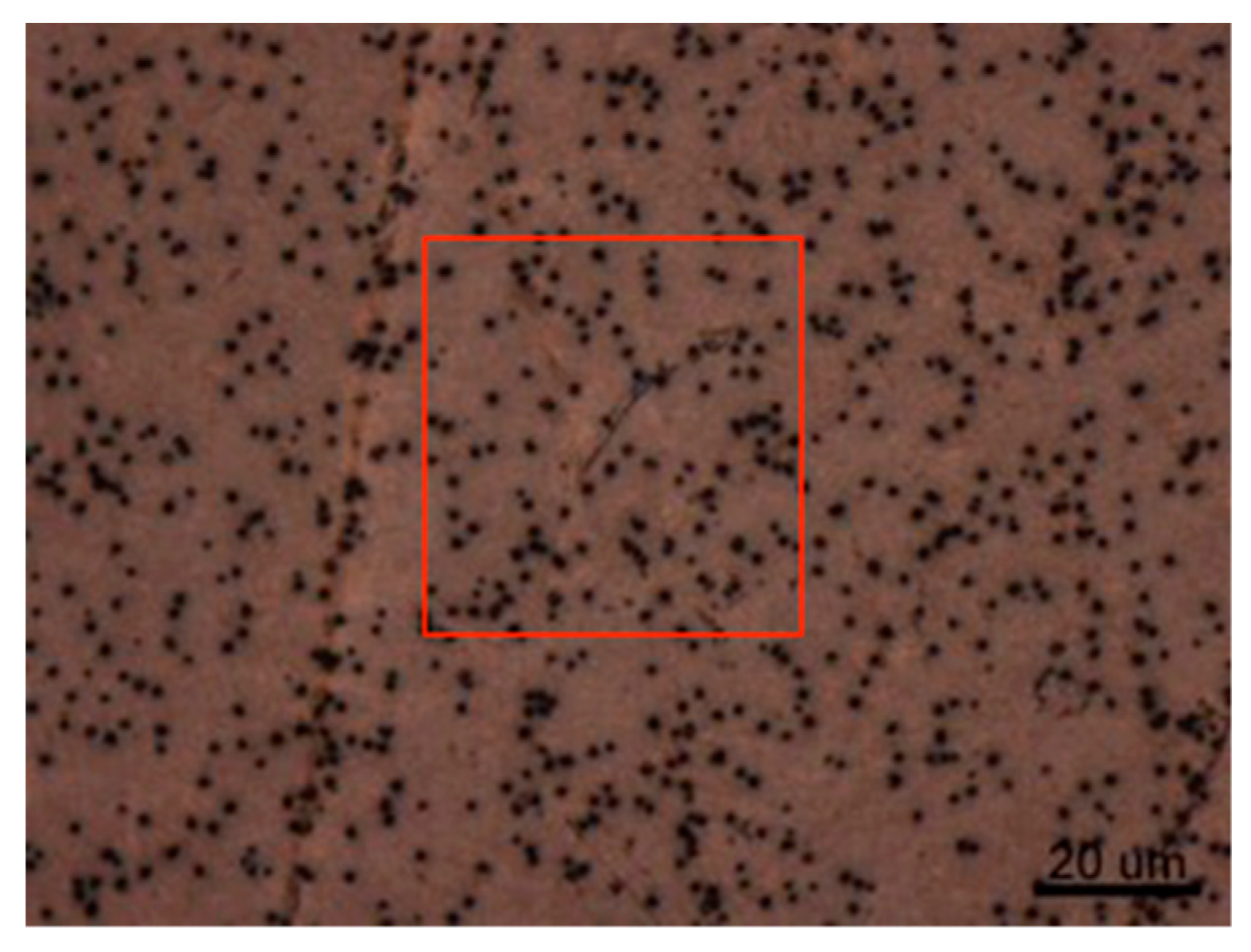 Applsci 09 02067 g008