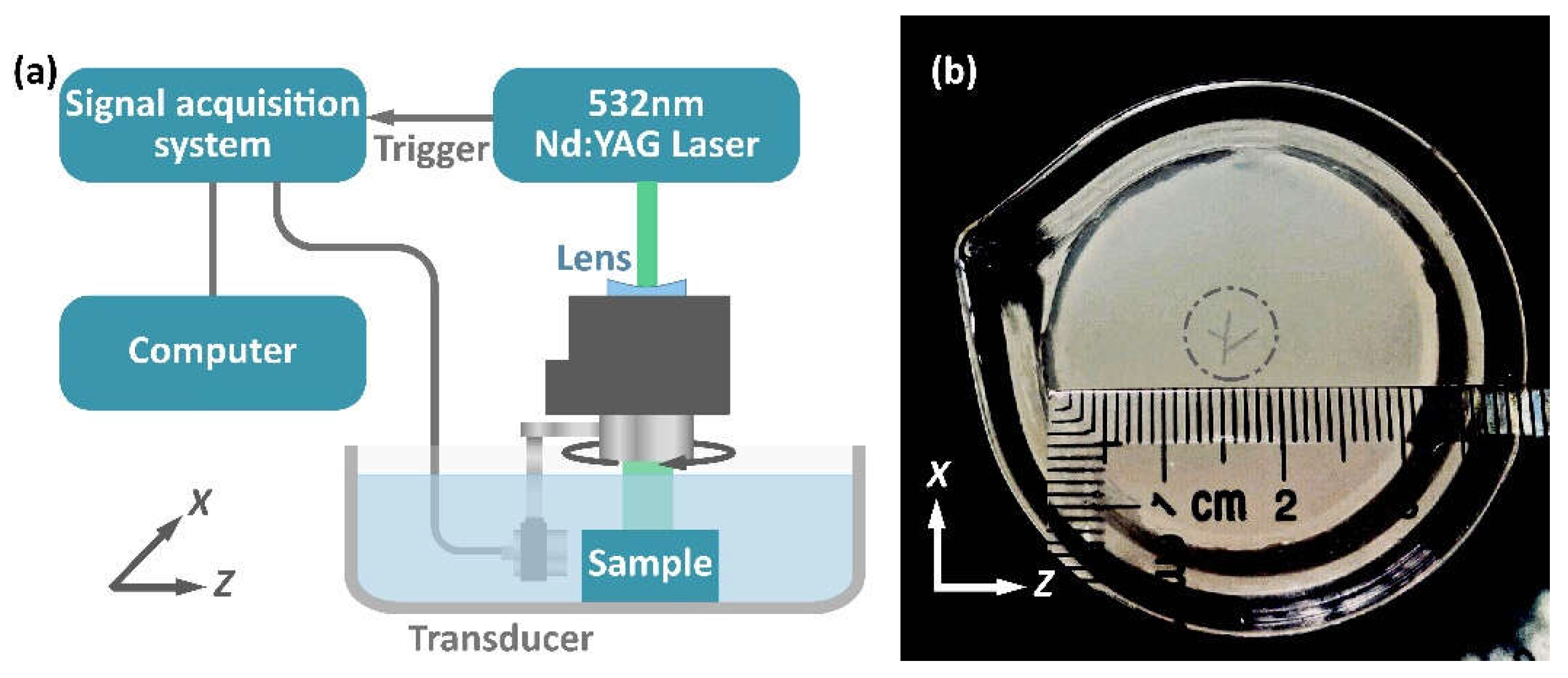 Applsci 09 02071 g004