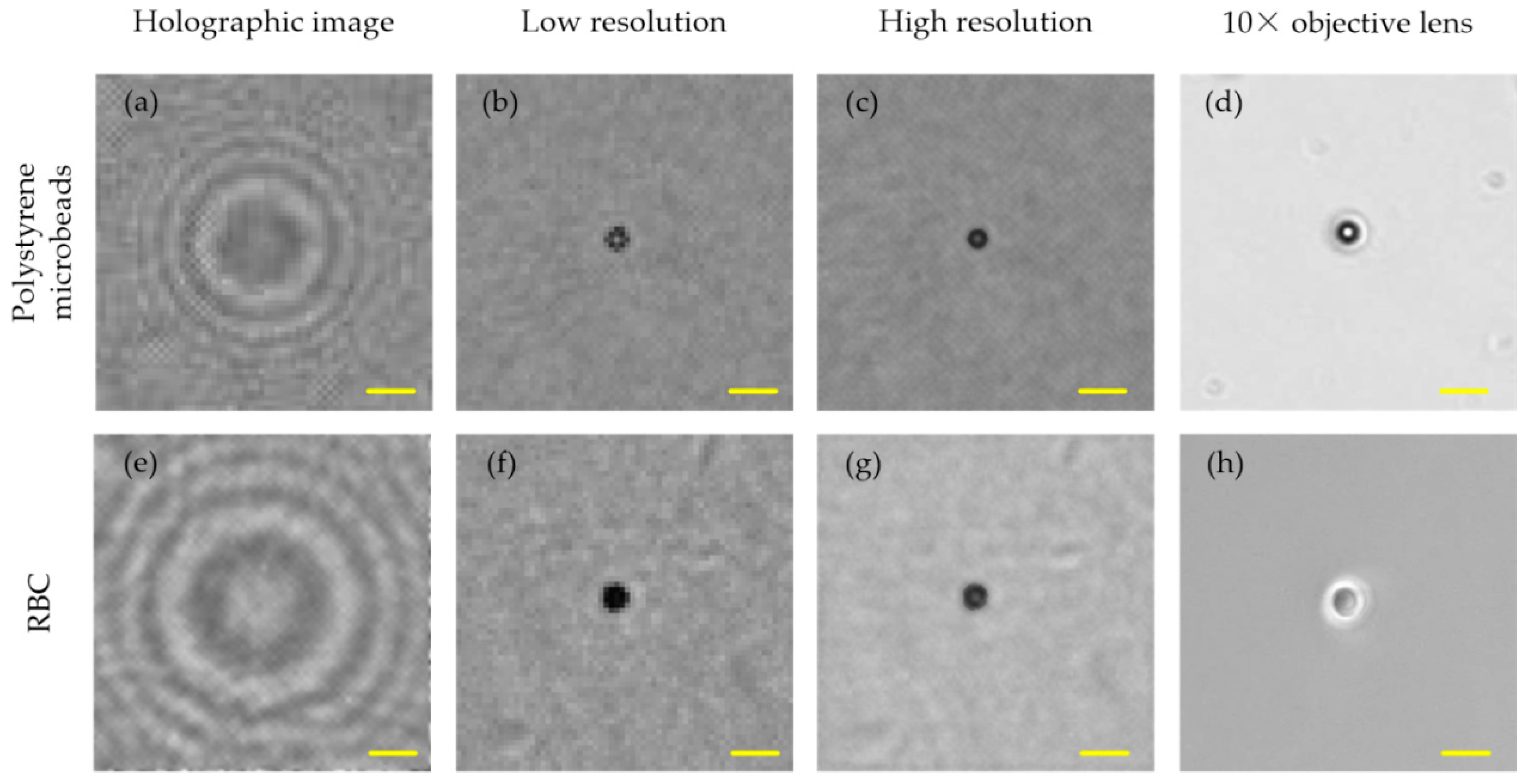 Applsci 09 02080 g003 Applsci 09 02080 g003