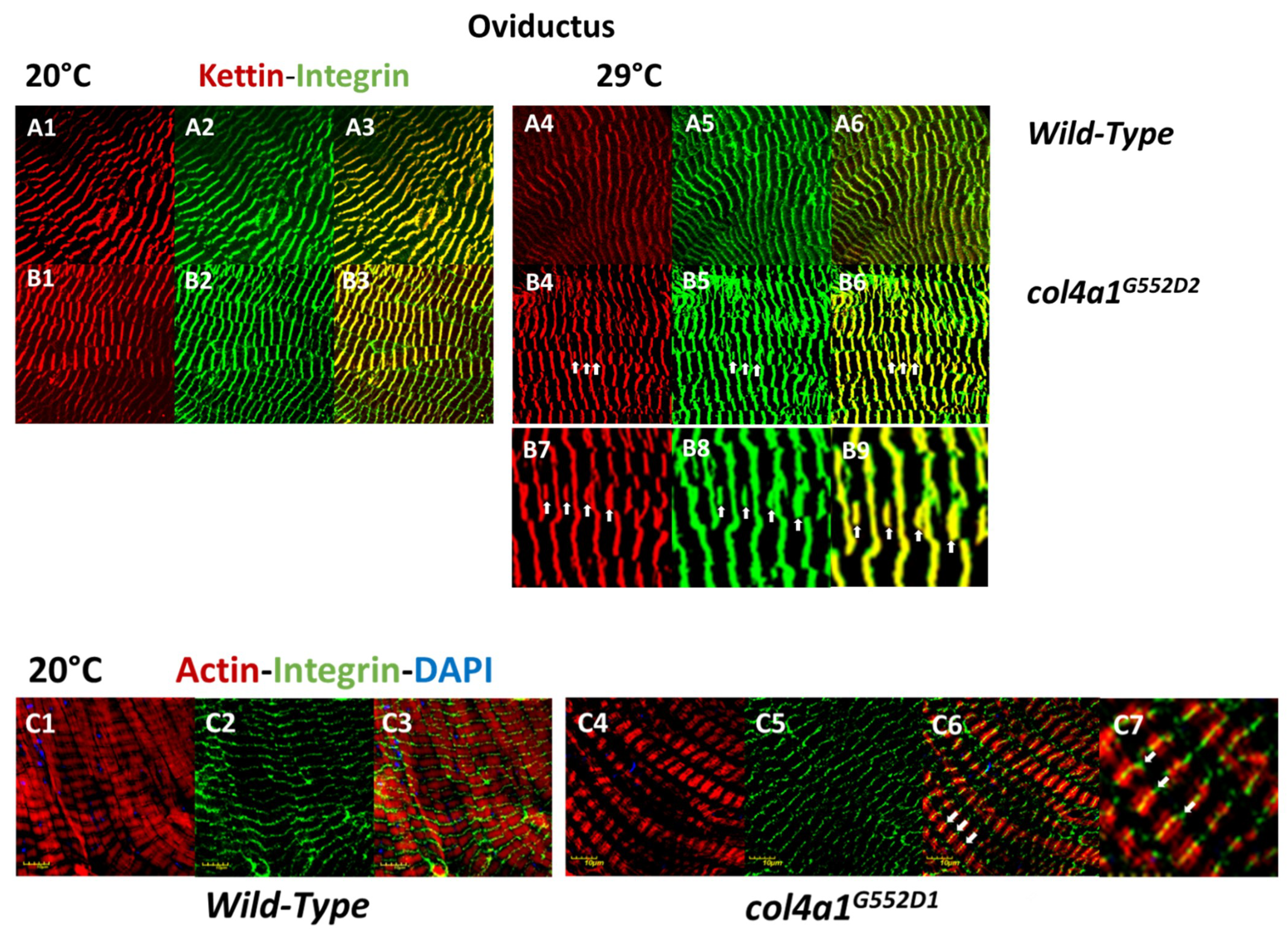 Applsci 09 02083 g001 Applsci 09 02083 g001