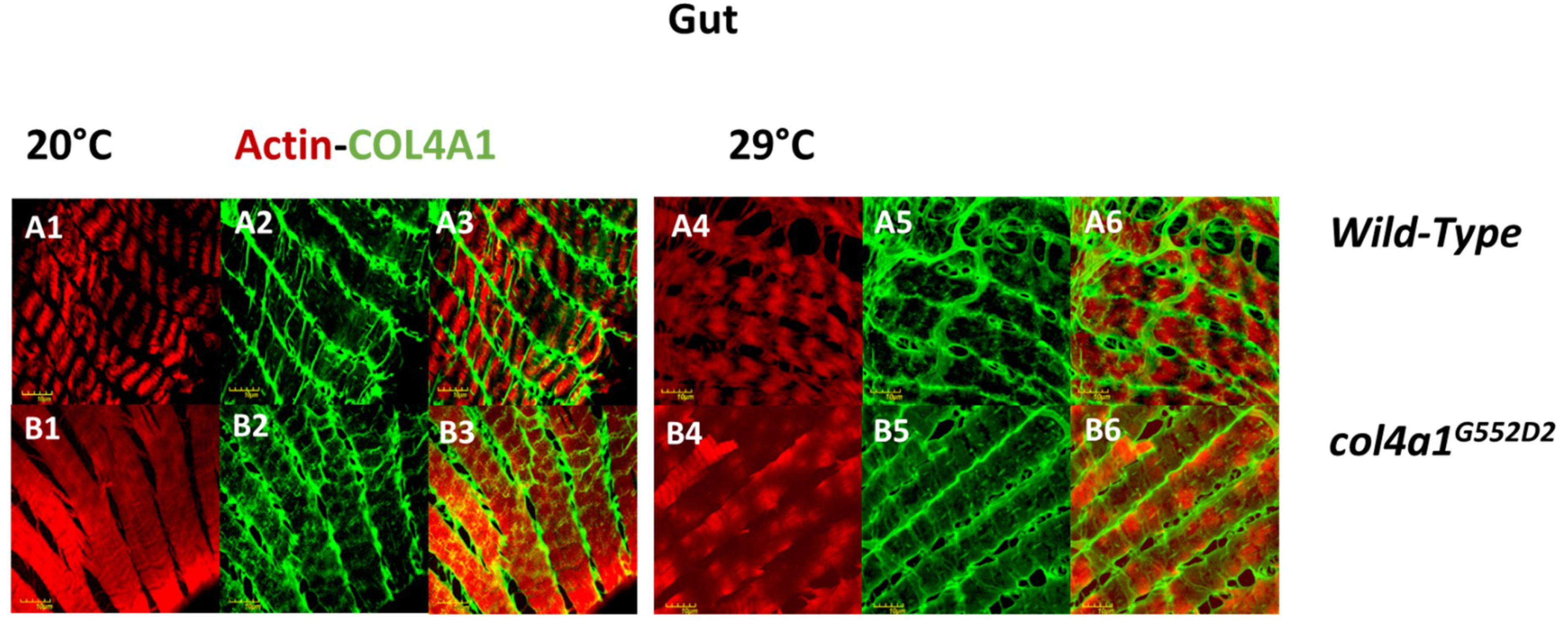 Applsci 09 02083 g004 Applsci 09 02083 g004