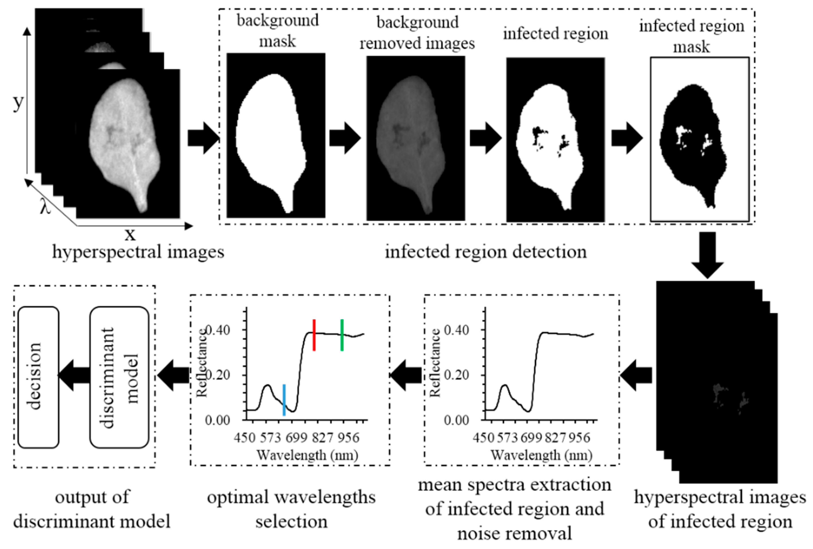 Hyperspectral Reflectance Imaging Combined with Multivariate