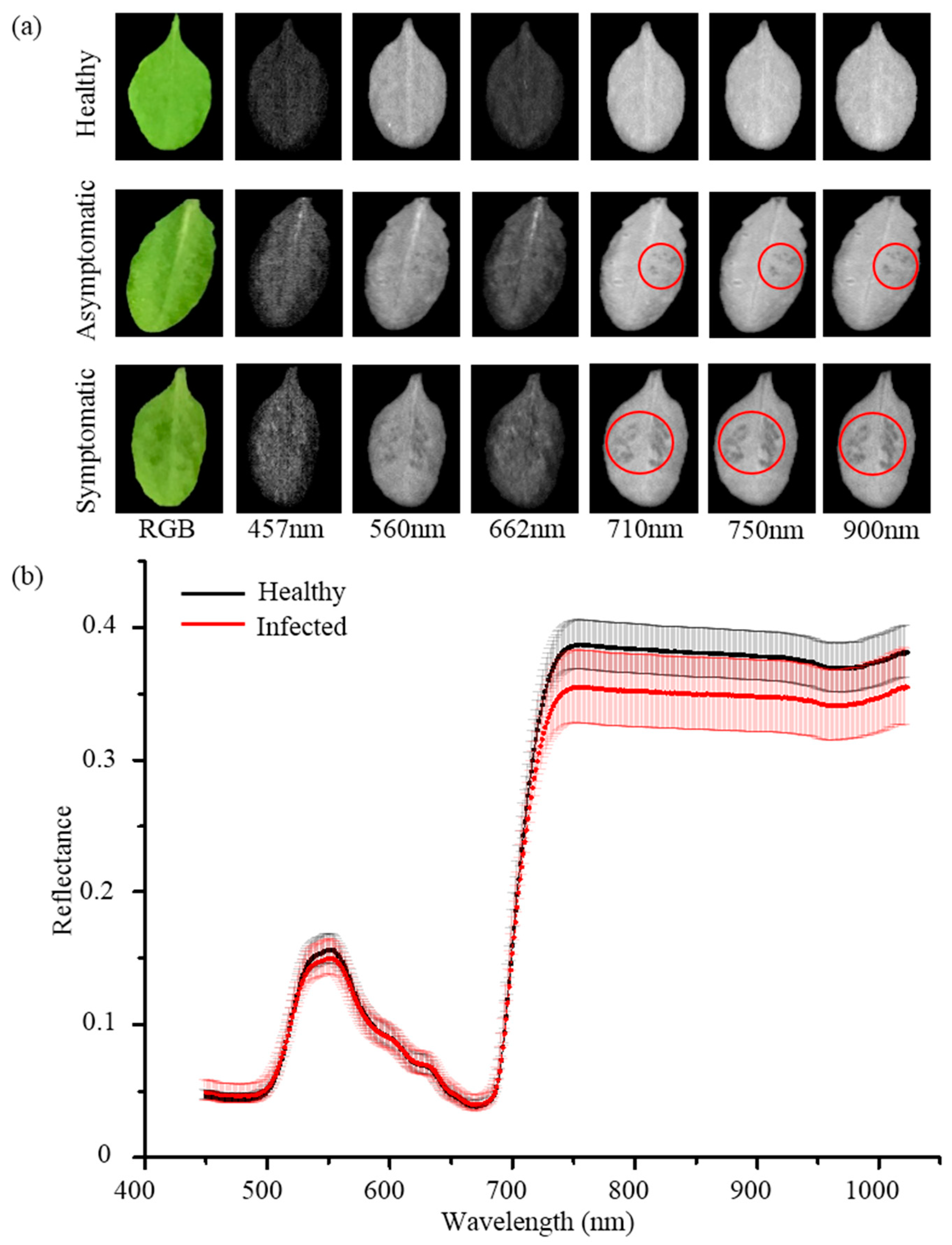 Applsci 09 02092 g002 Applsci 09 02092 g002