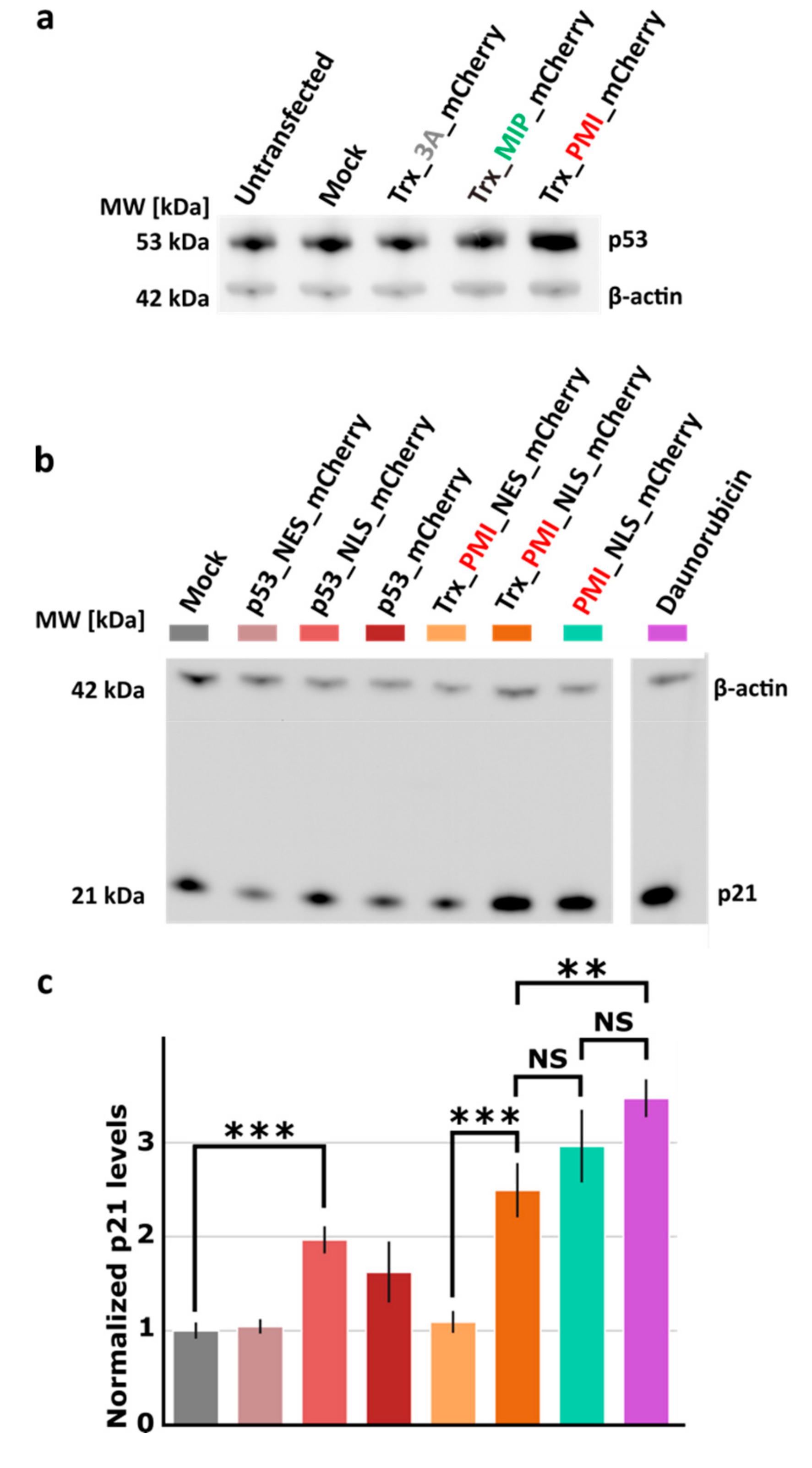 Applsci 09 02095 g001 Applsci 09 02095 g001