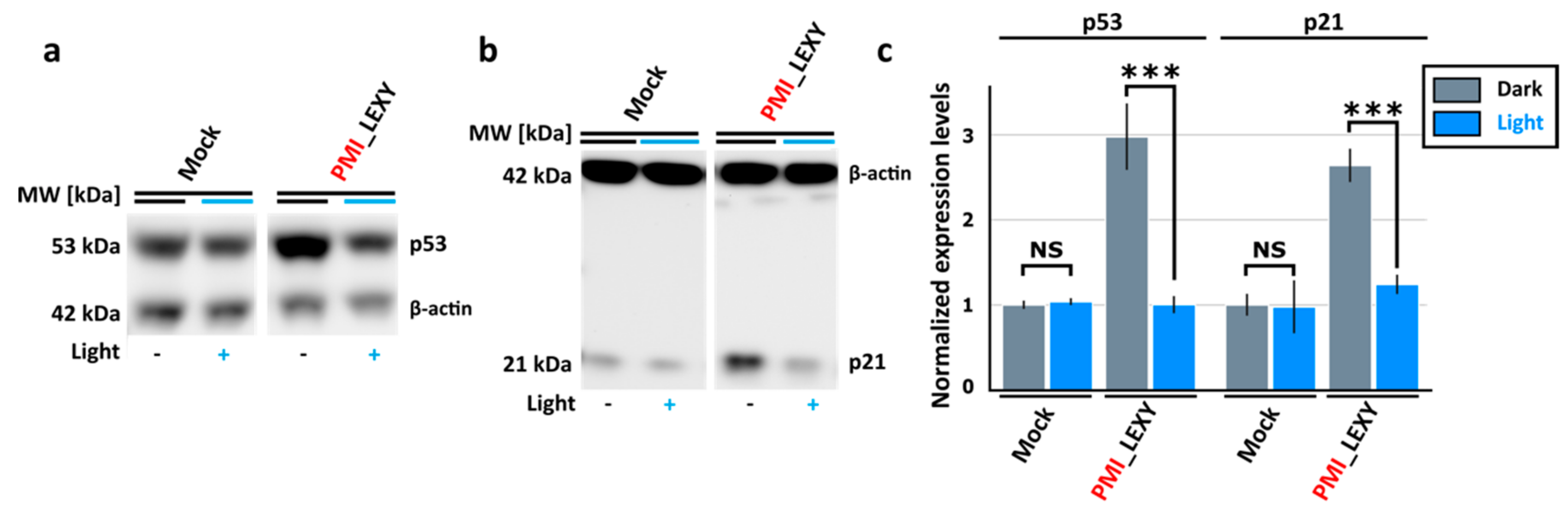 Applsci 09 02095 g003 Applsci 09 02095 g003