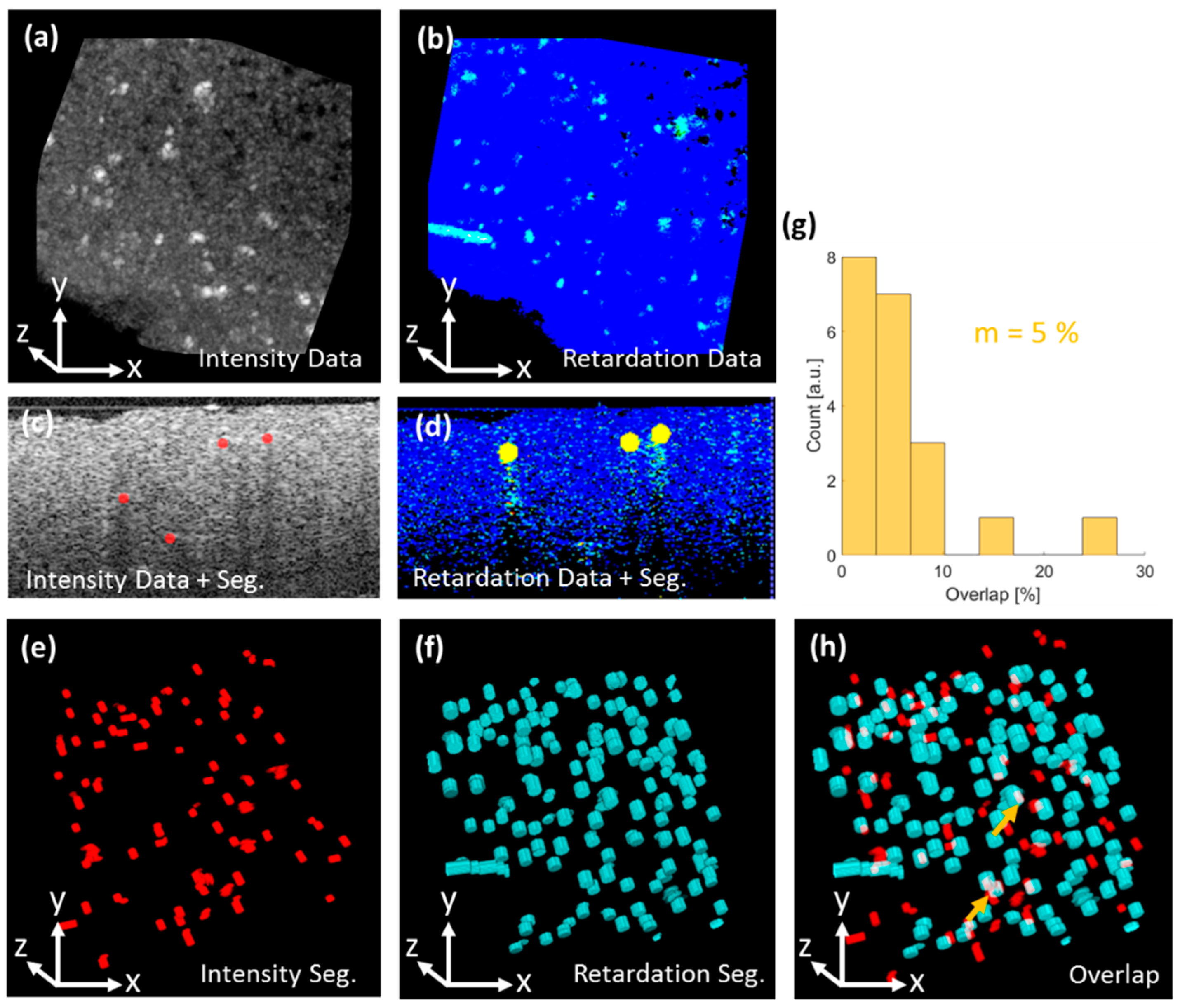 Applsci 09 02100 g002