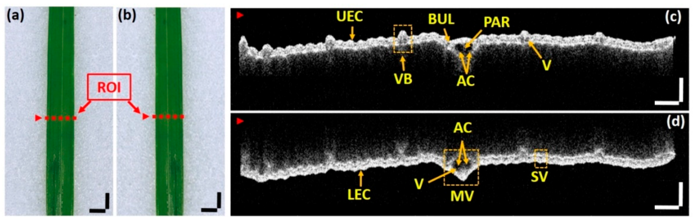 Applsci 09 02104 g004 Applsci 09 02104 g004