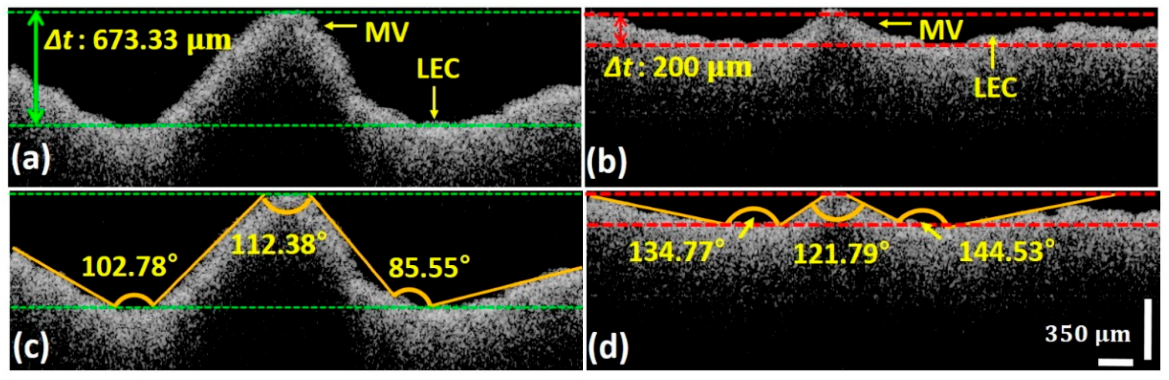 Applsci 09 02104 g007 Applsci 09 02104 g007