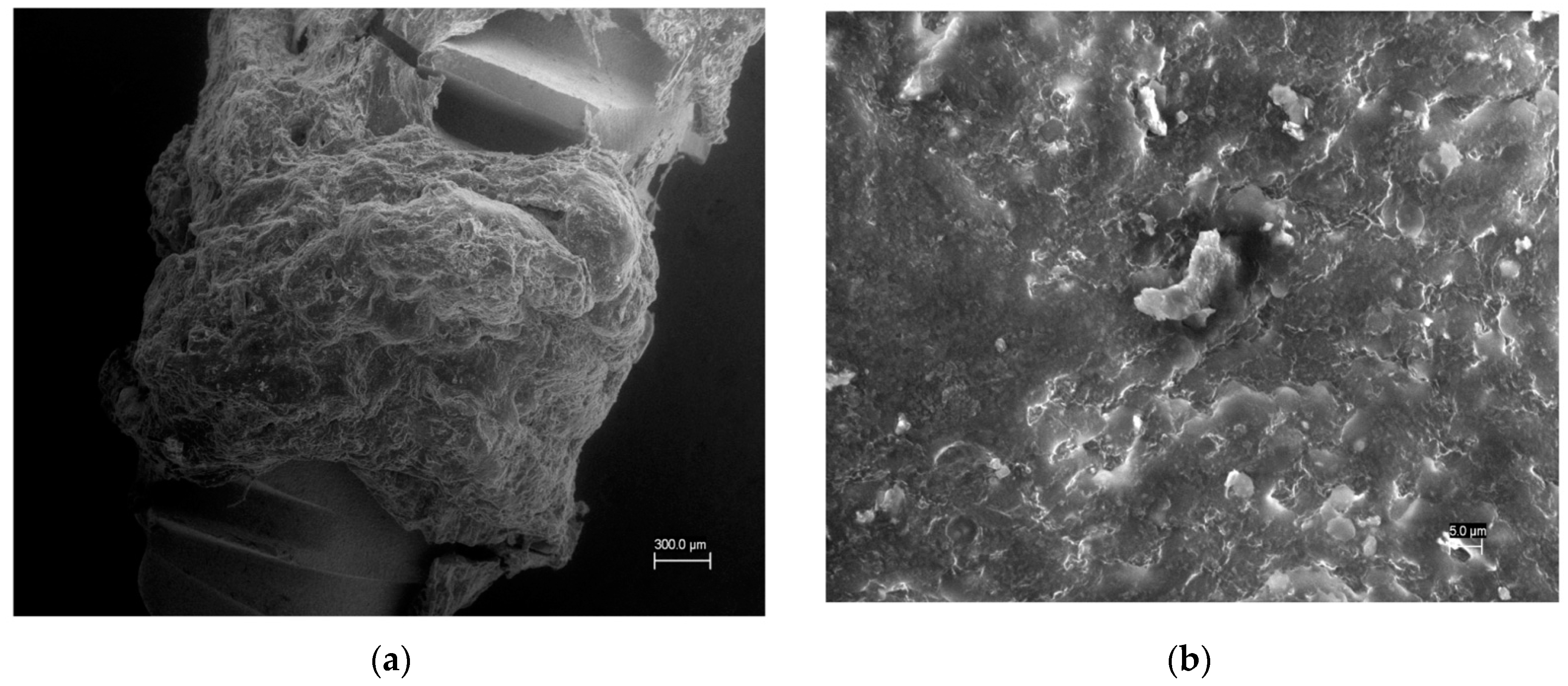 Applsci 09 02114 g004