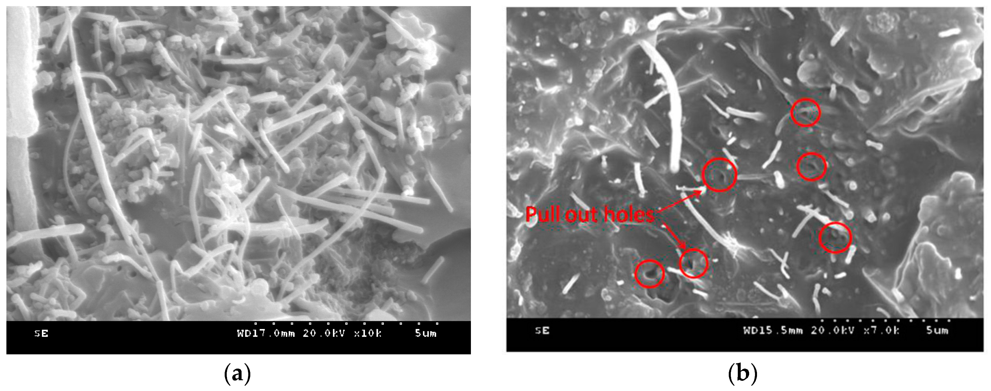 Applsci 09 02128 g013