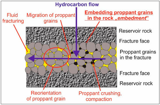 Studies of Fracture Damage Caused by the Proppant Embedment Phenomenon ...