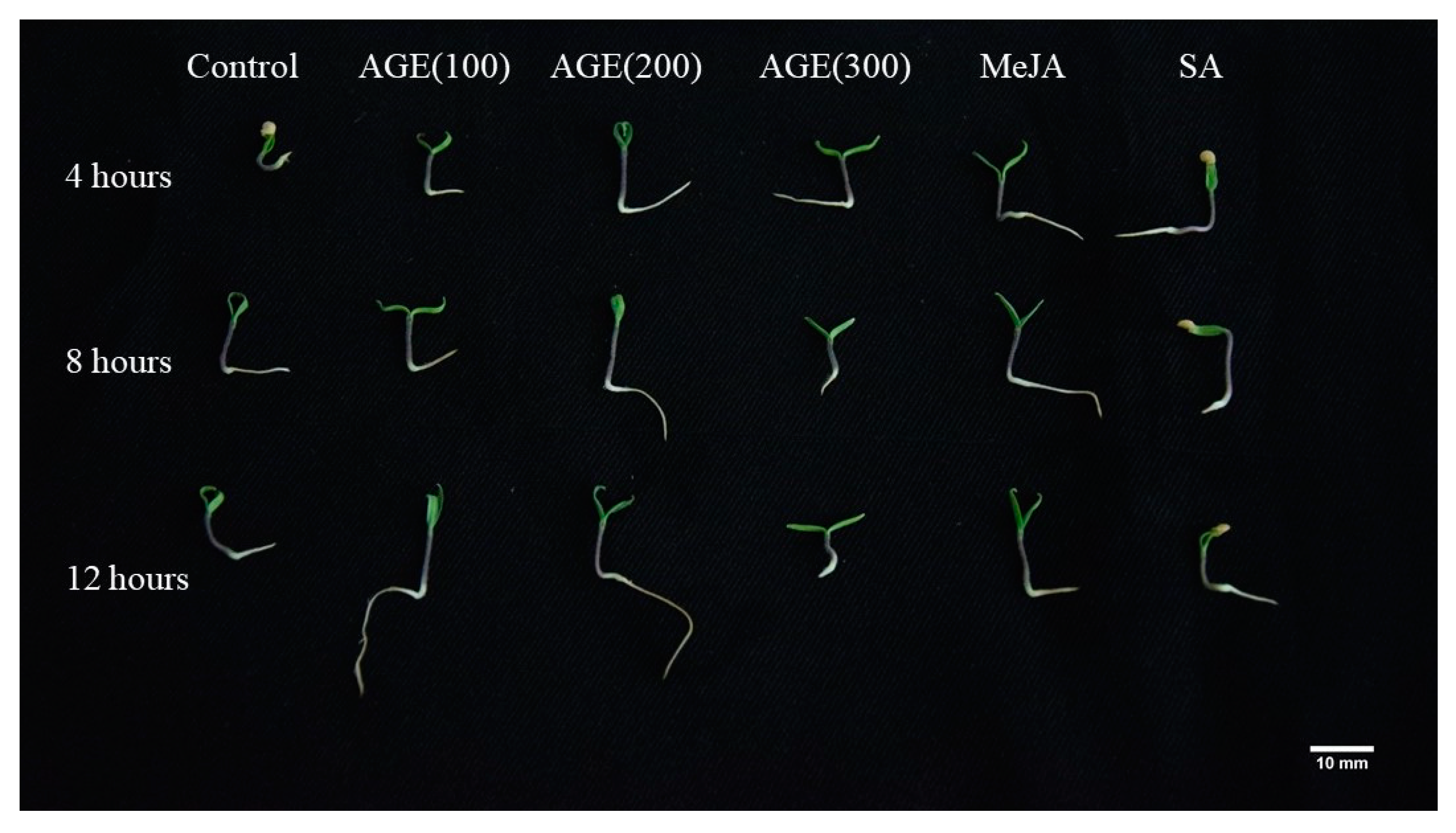 Applsci 09 02203 g003