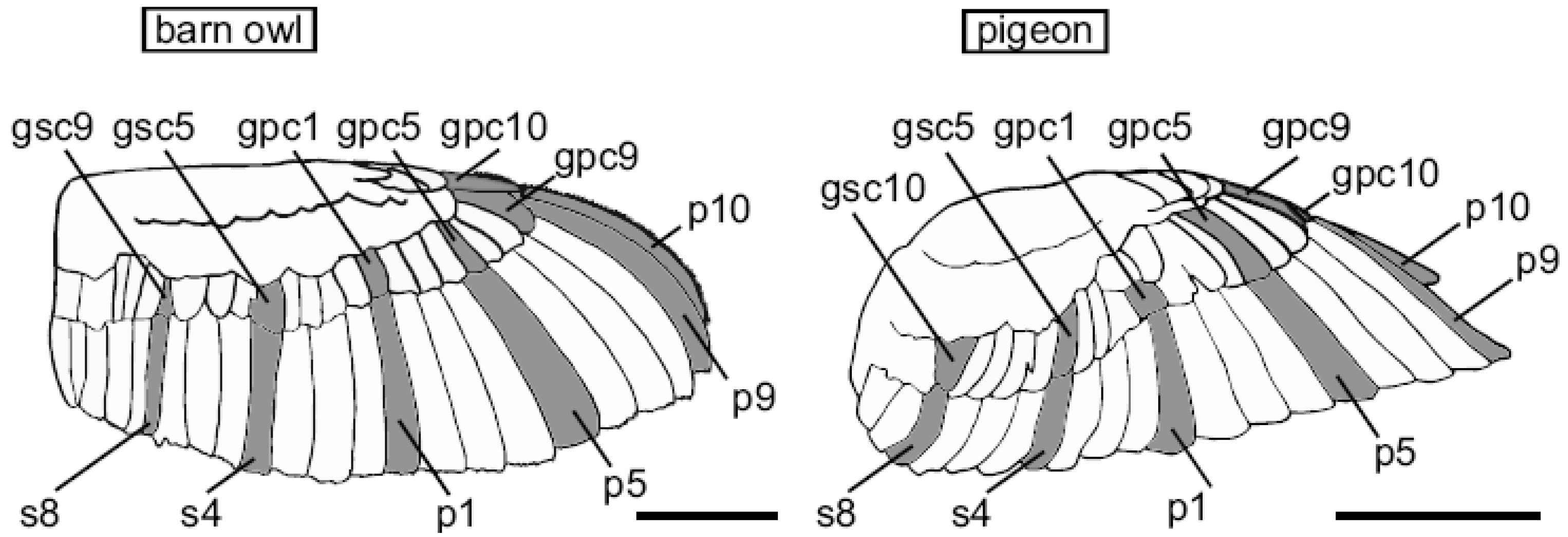 Applsci 09 02224 g003 Applsci 09 02224 g003