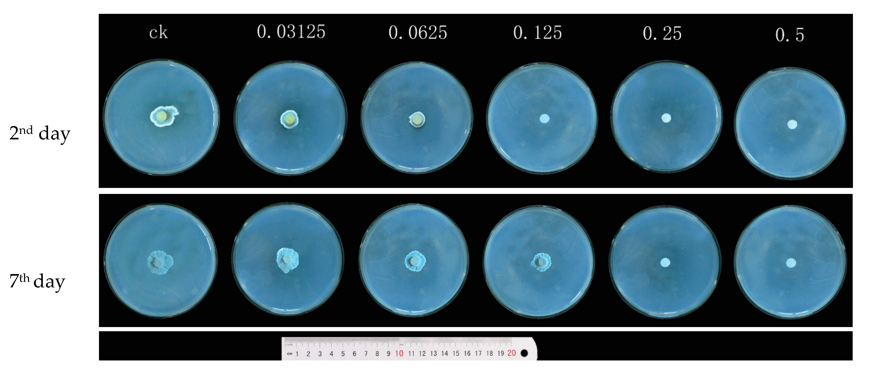 Applsci 09 02240 g002
