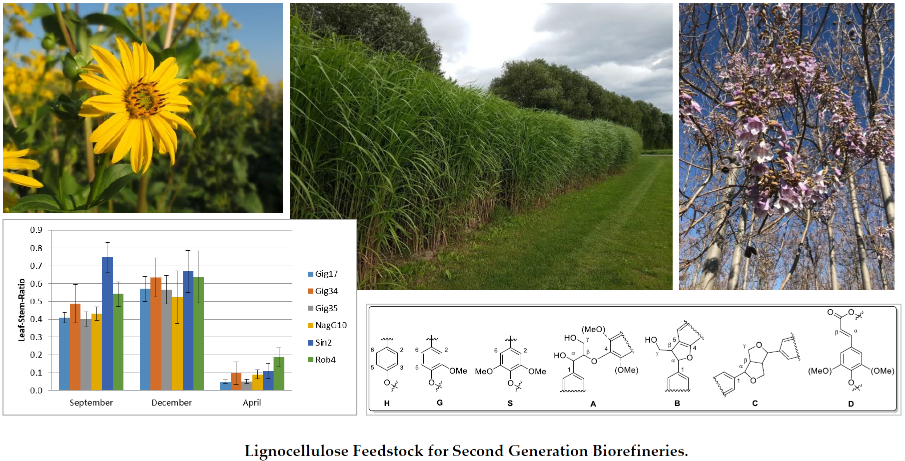 Applied Sciences Free Full Text Low Input Crops As