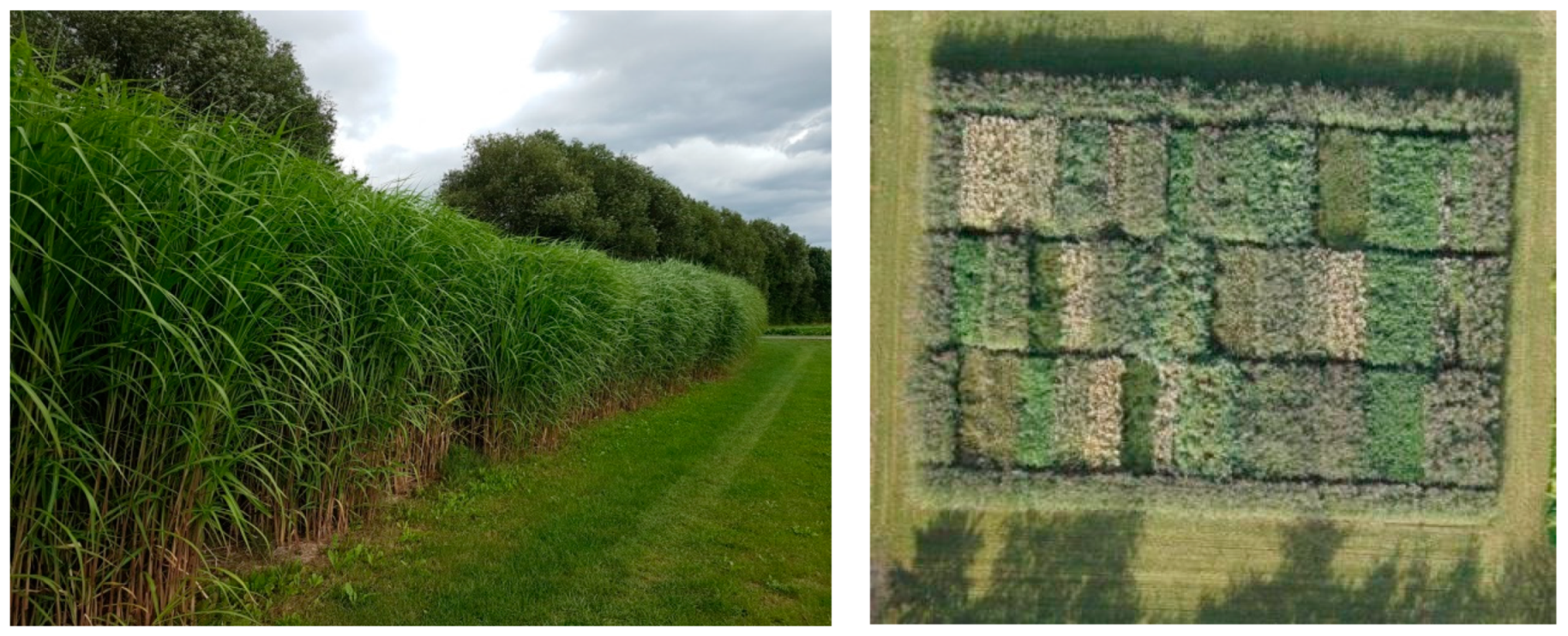 Applsci 09 02252 g004 Applsci 09 02252 g004