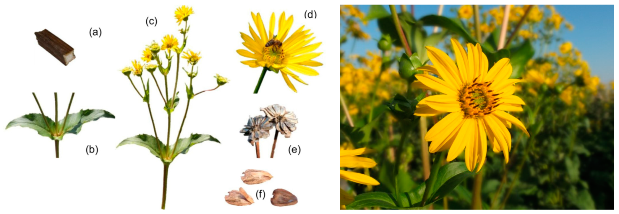 Applsci 09 02252 g006 Applsci 09 02252 g006