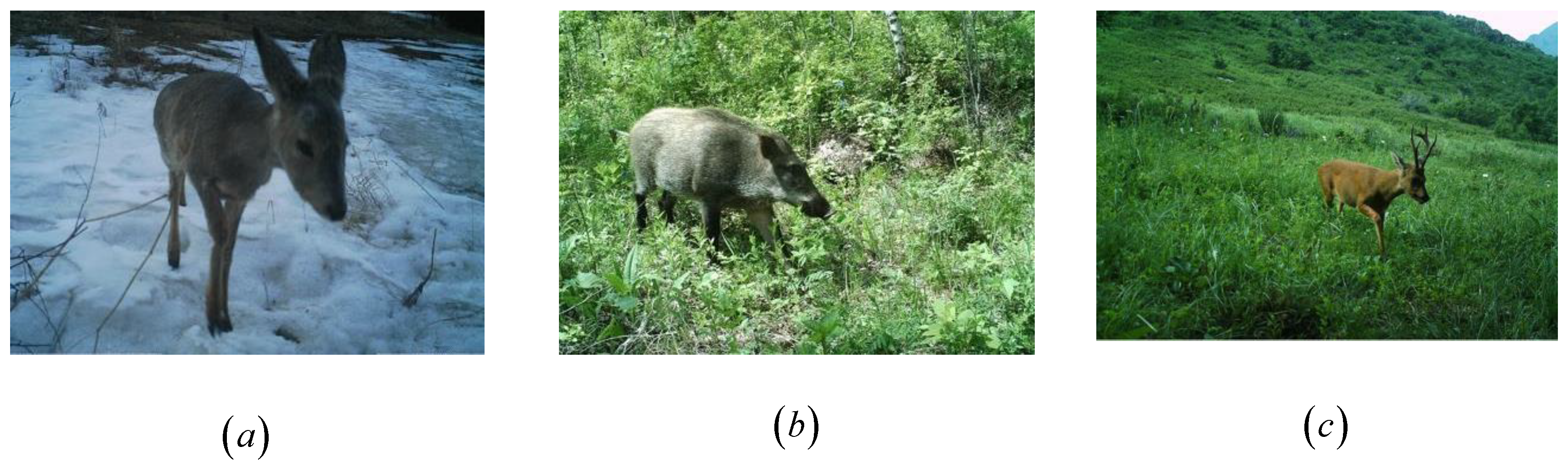 Applsci 09 02276 g002