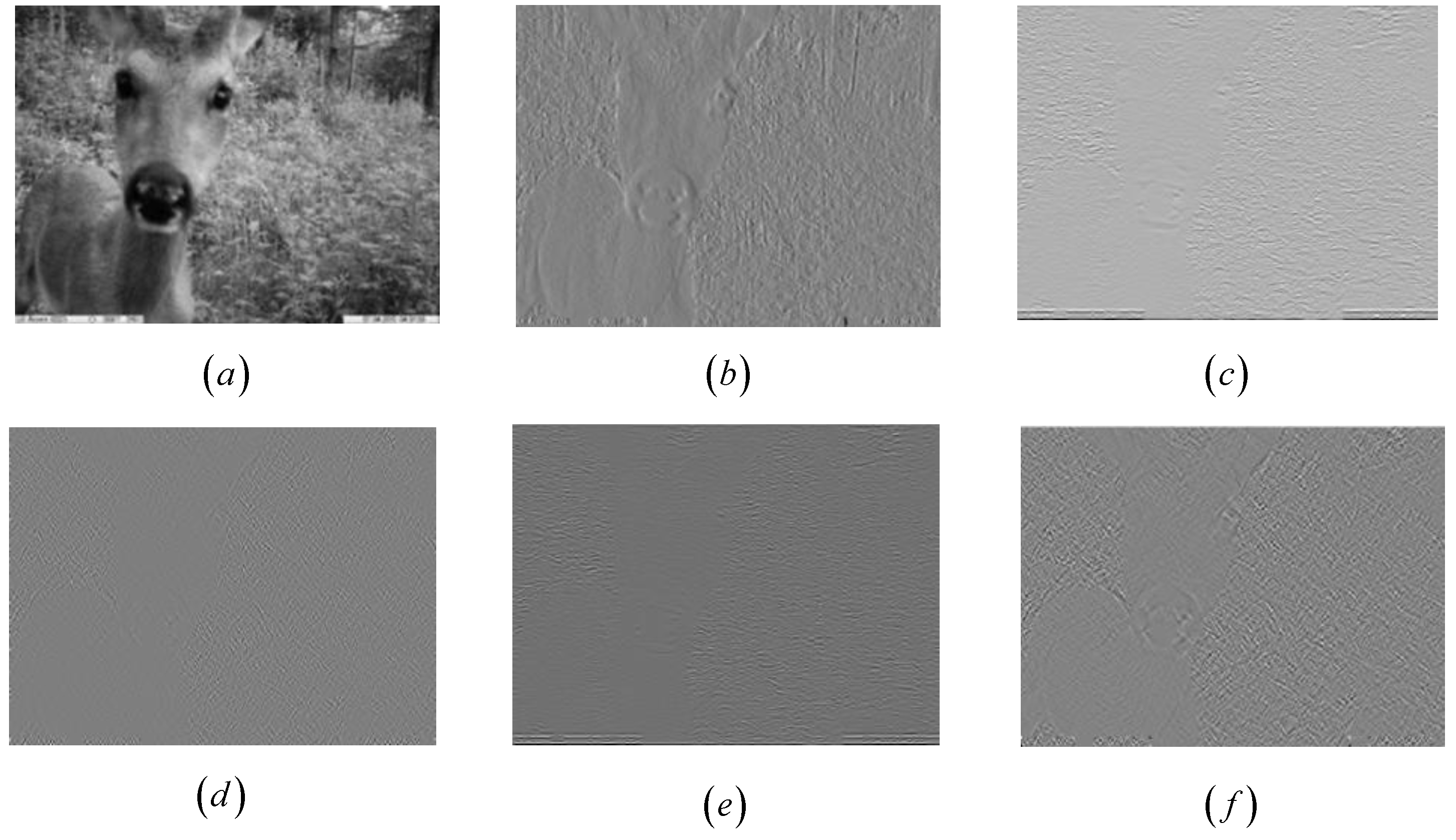 Applsci 09 02276 g006