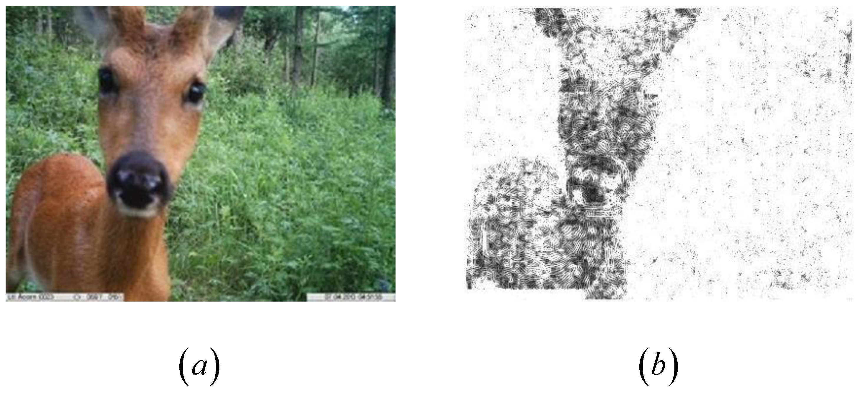 Applsci 09 02276 g008