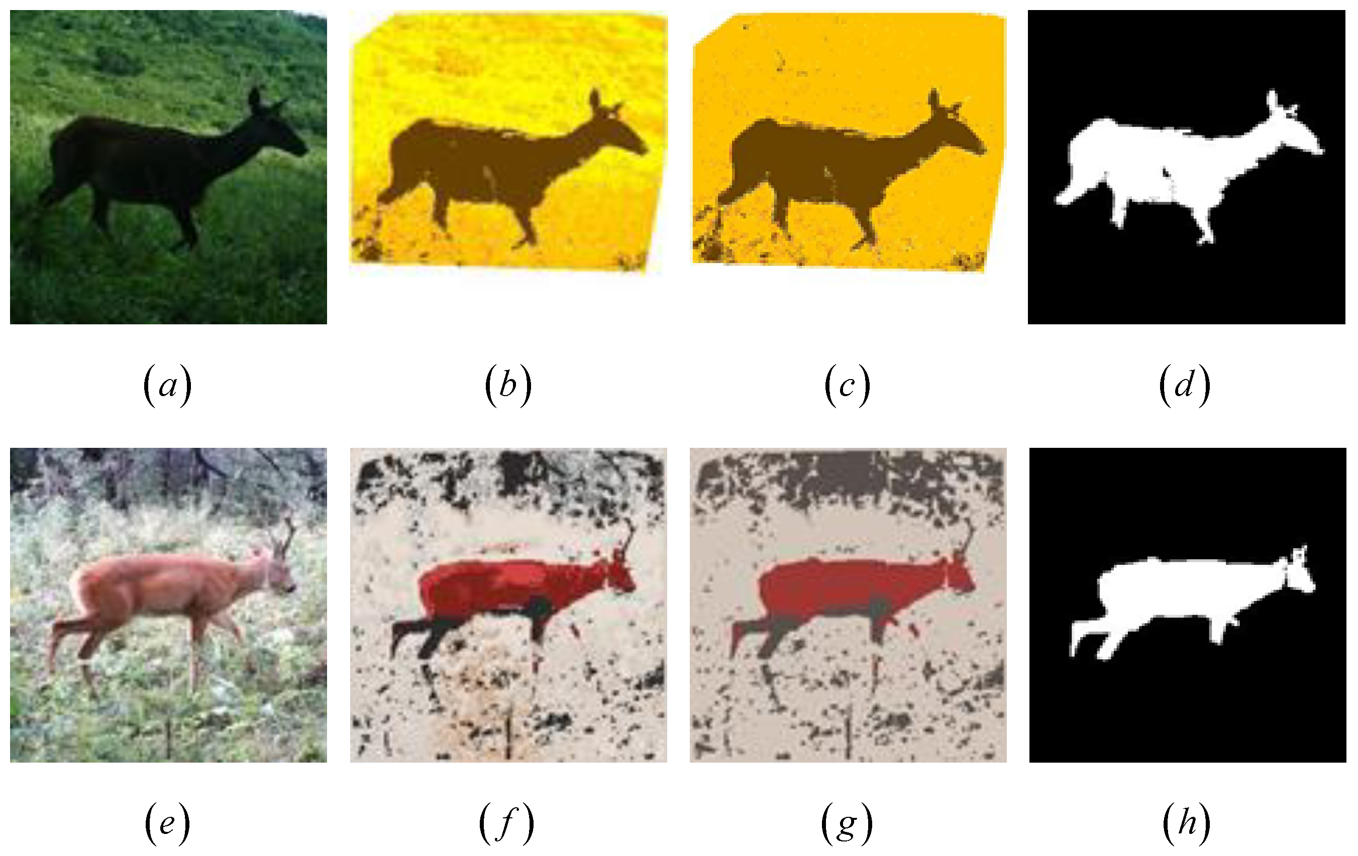 Applsci 09 02276 g010