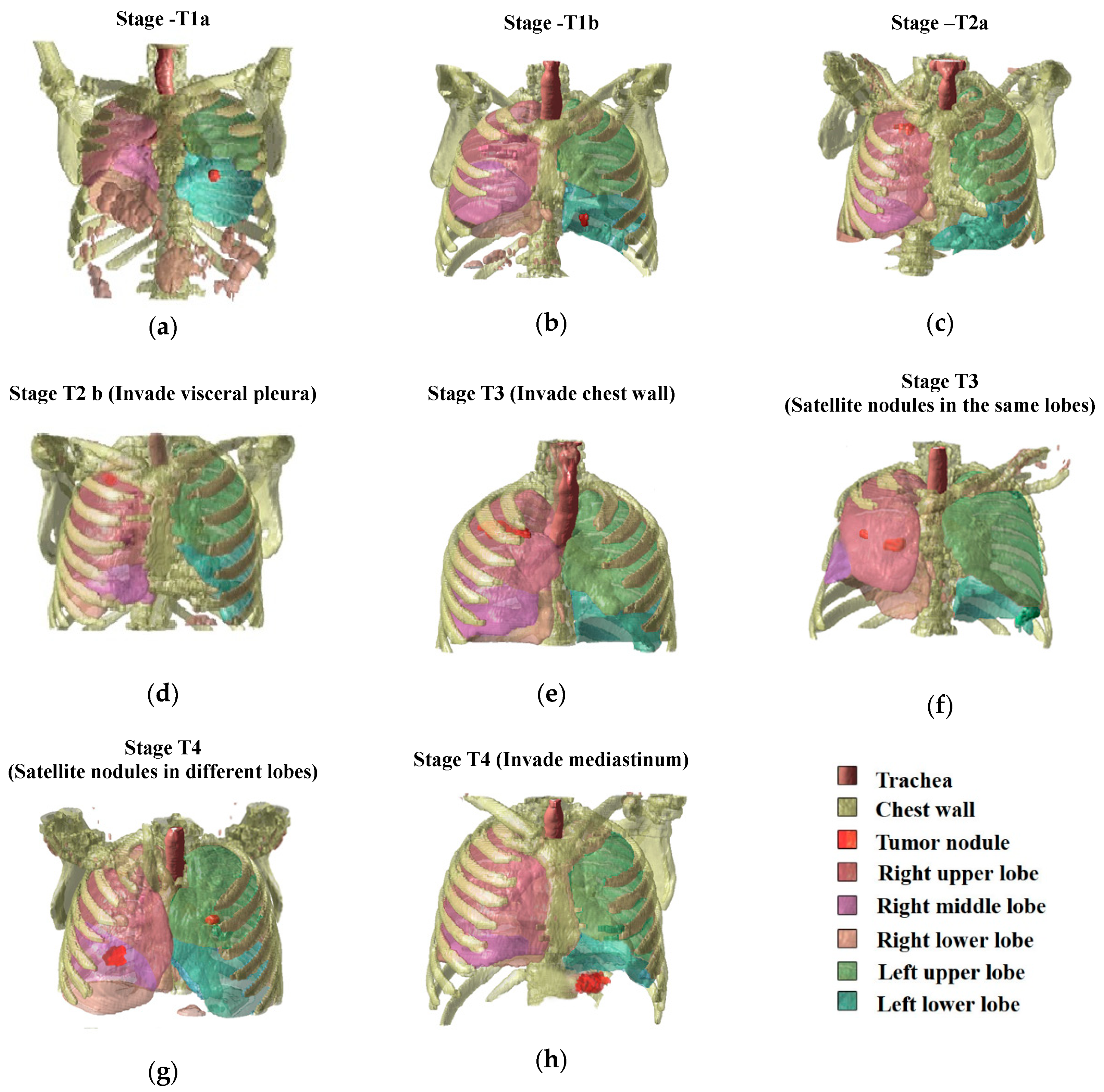 Applsci 09 02329 g016