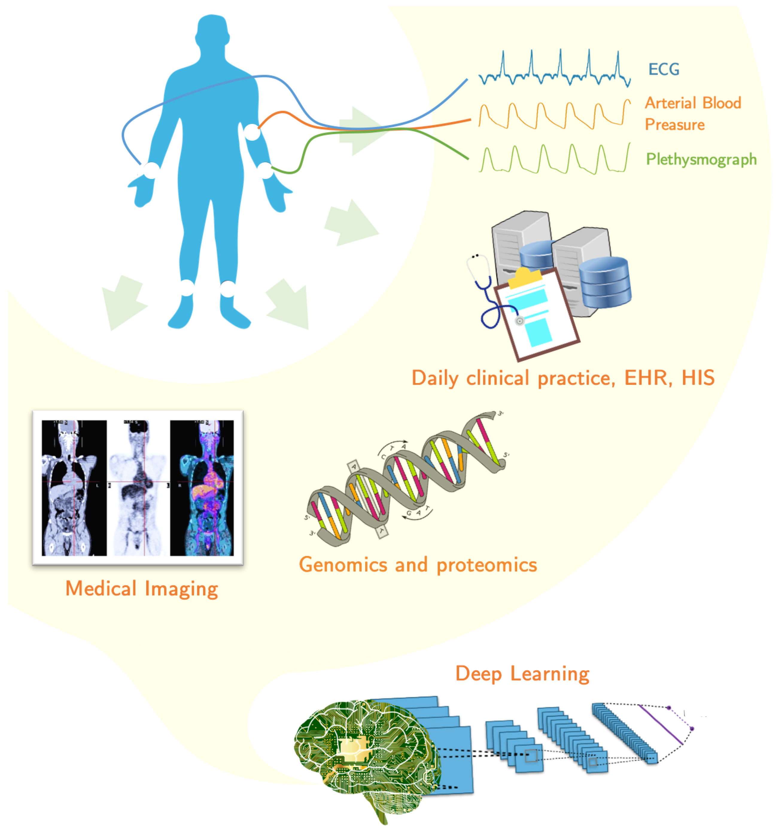 big data in biomedical research