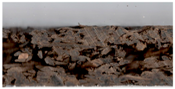 Applsci 09 02345 i020