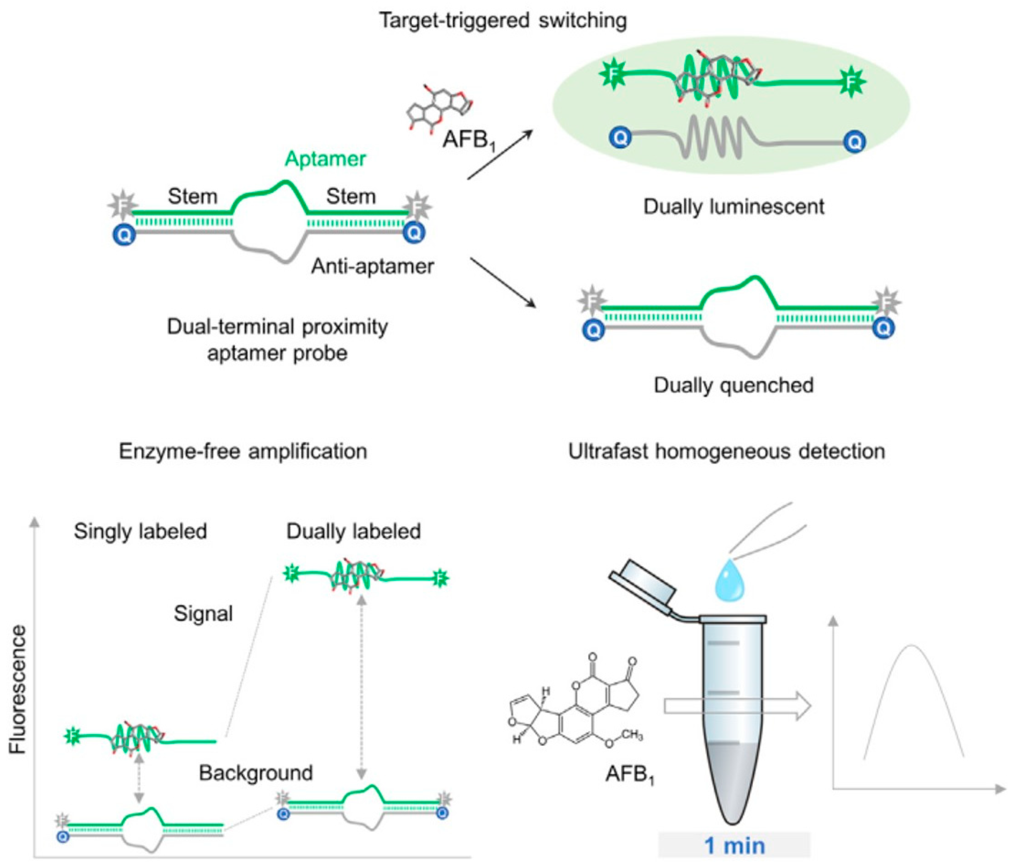 Applsci 09 02364 g011