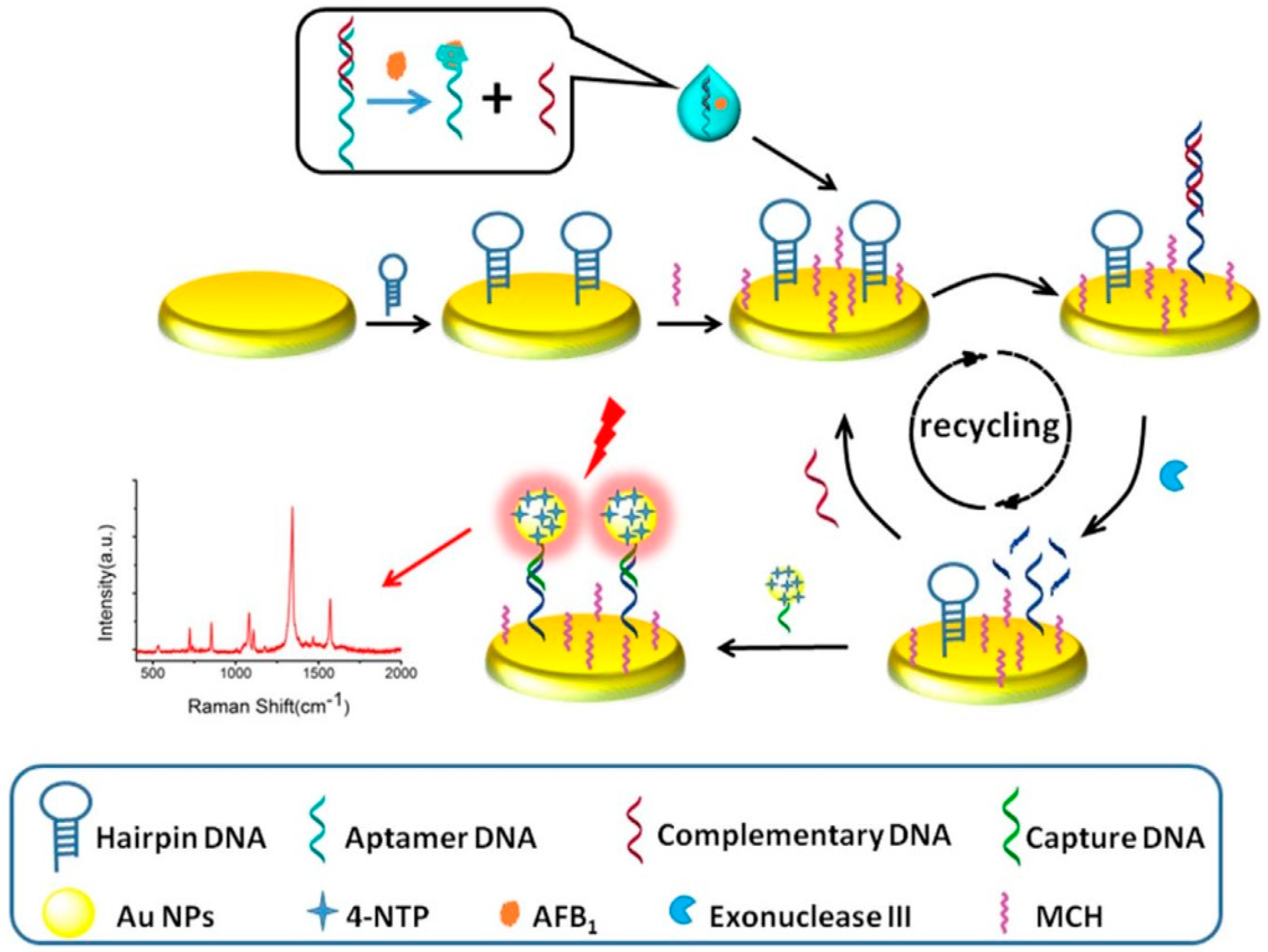 Applsci 09 02364 g014