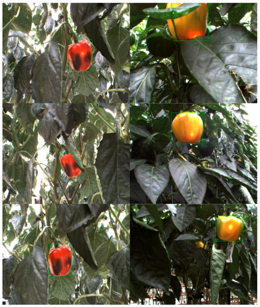 Applsci 09 02395 g018 Applsci 09 02395 g018