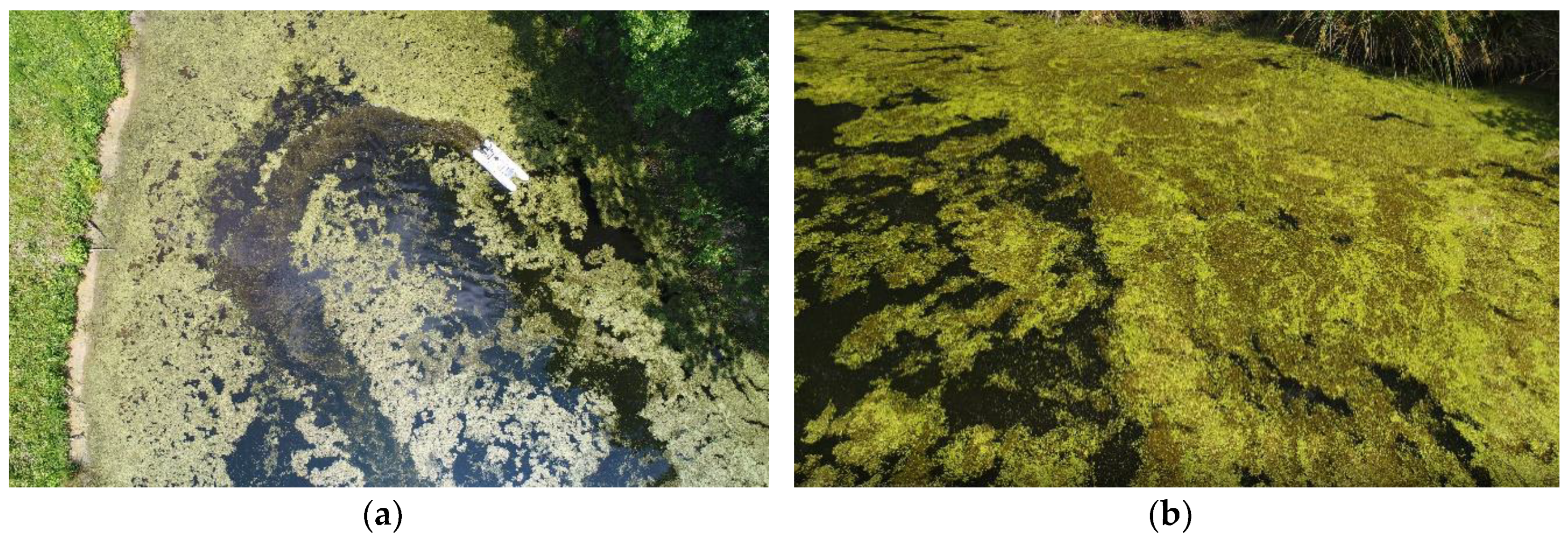 Applsci 09 02410 g001