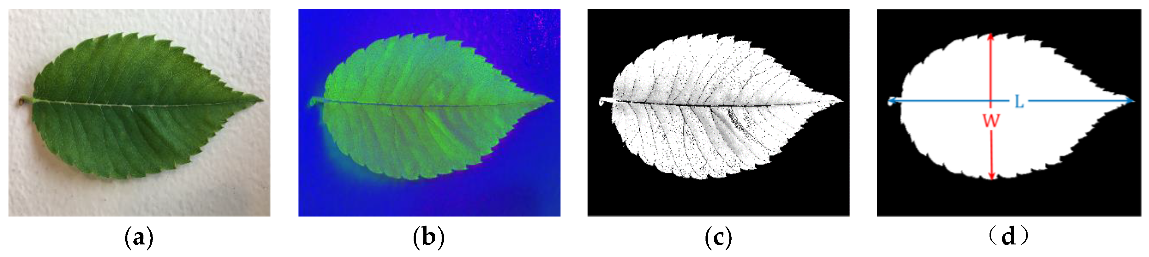 Applsci 09 02410 g002